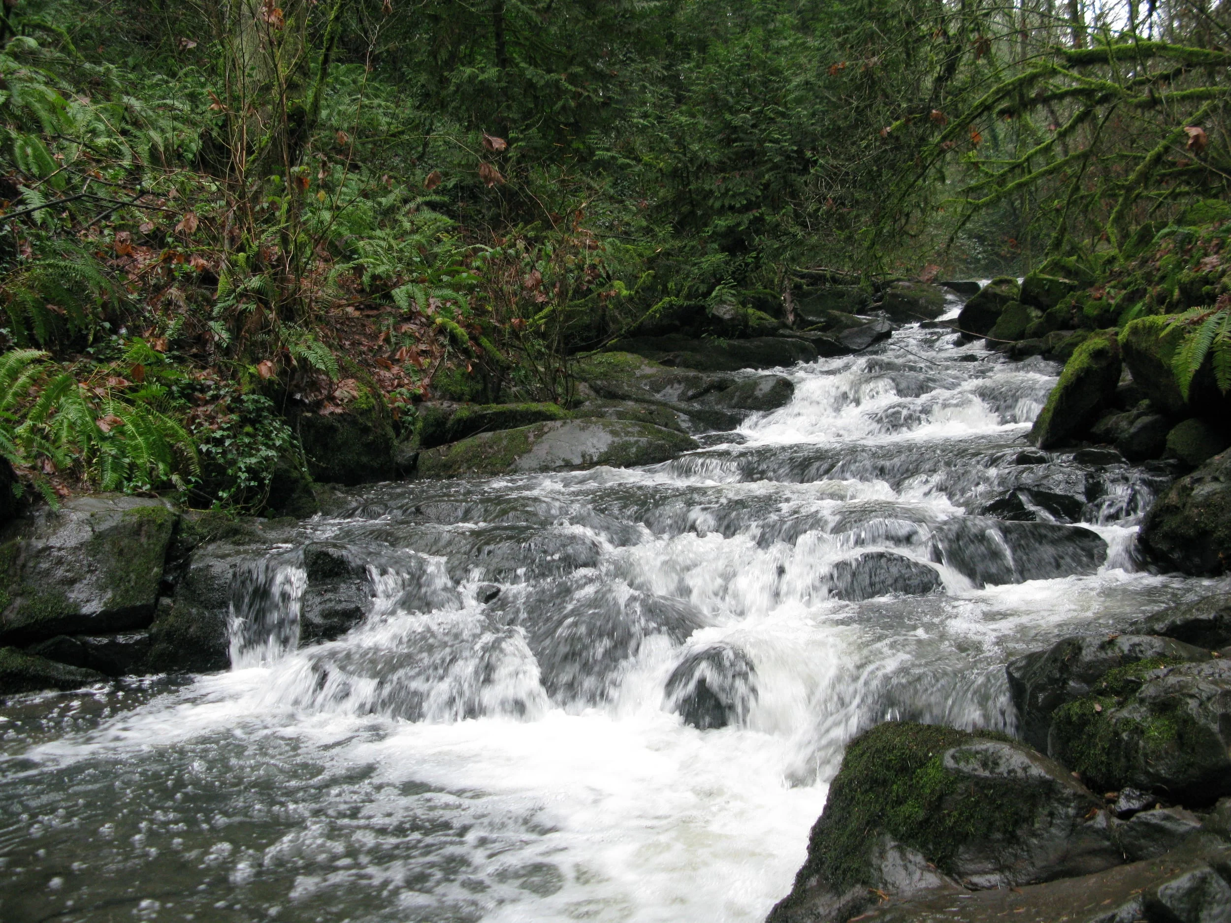 Top Winter Hiking Trails