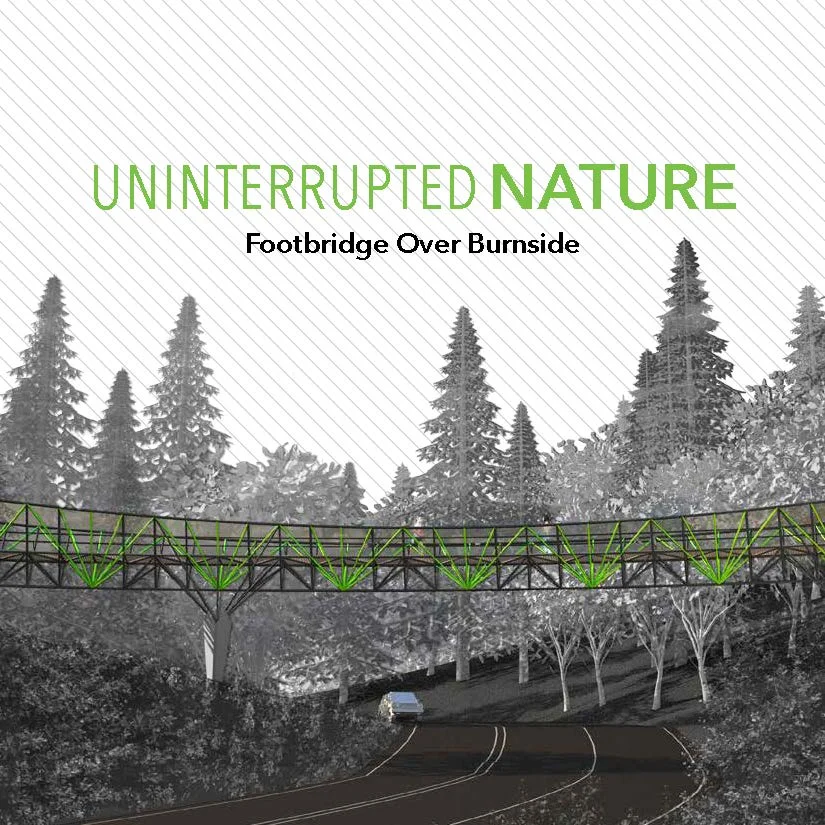 New Footbridge Campaign Chair and Case Statement