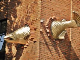 Fish art on downtown Portland, Oregon (USA) building, Photo by Bob Sallinger.