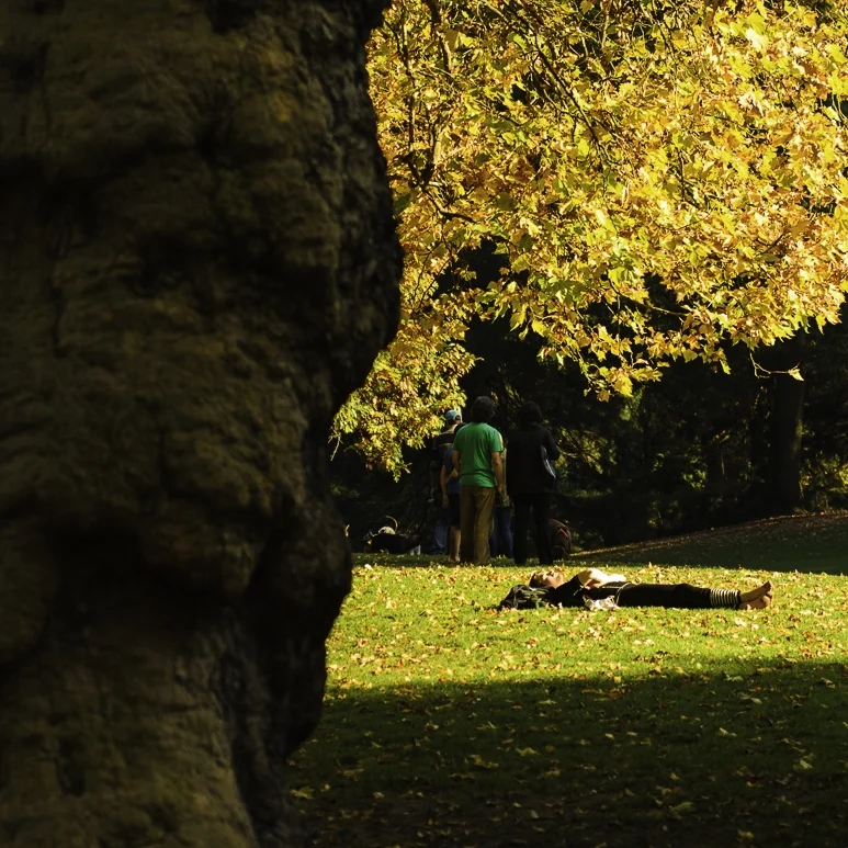 Laurelhurst 2.jpg