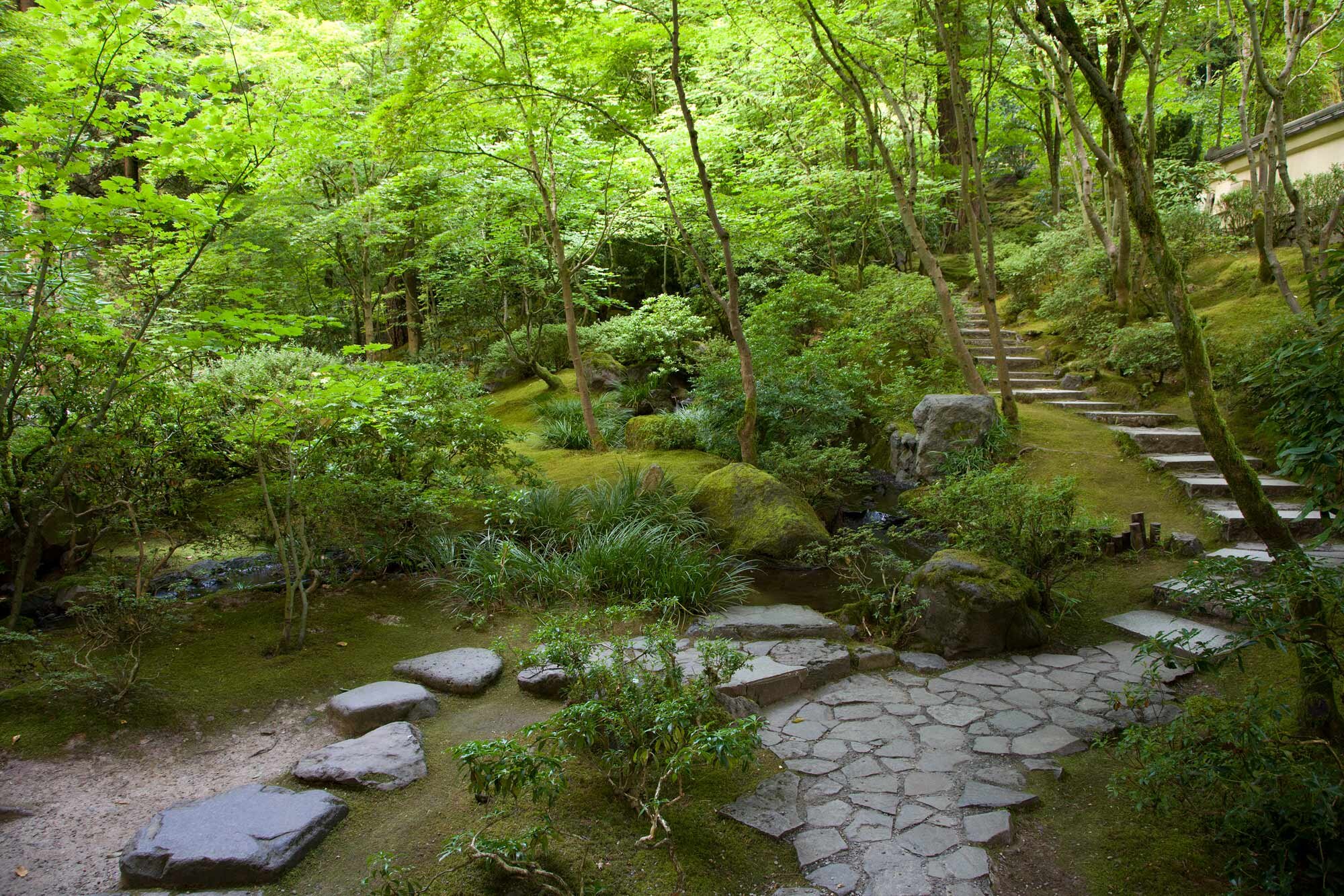 Japaense-Garden3.jpg