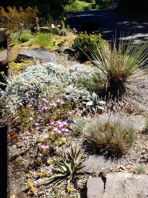 5-Dry trough garden.jpg