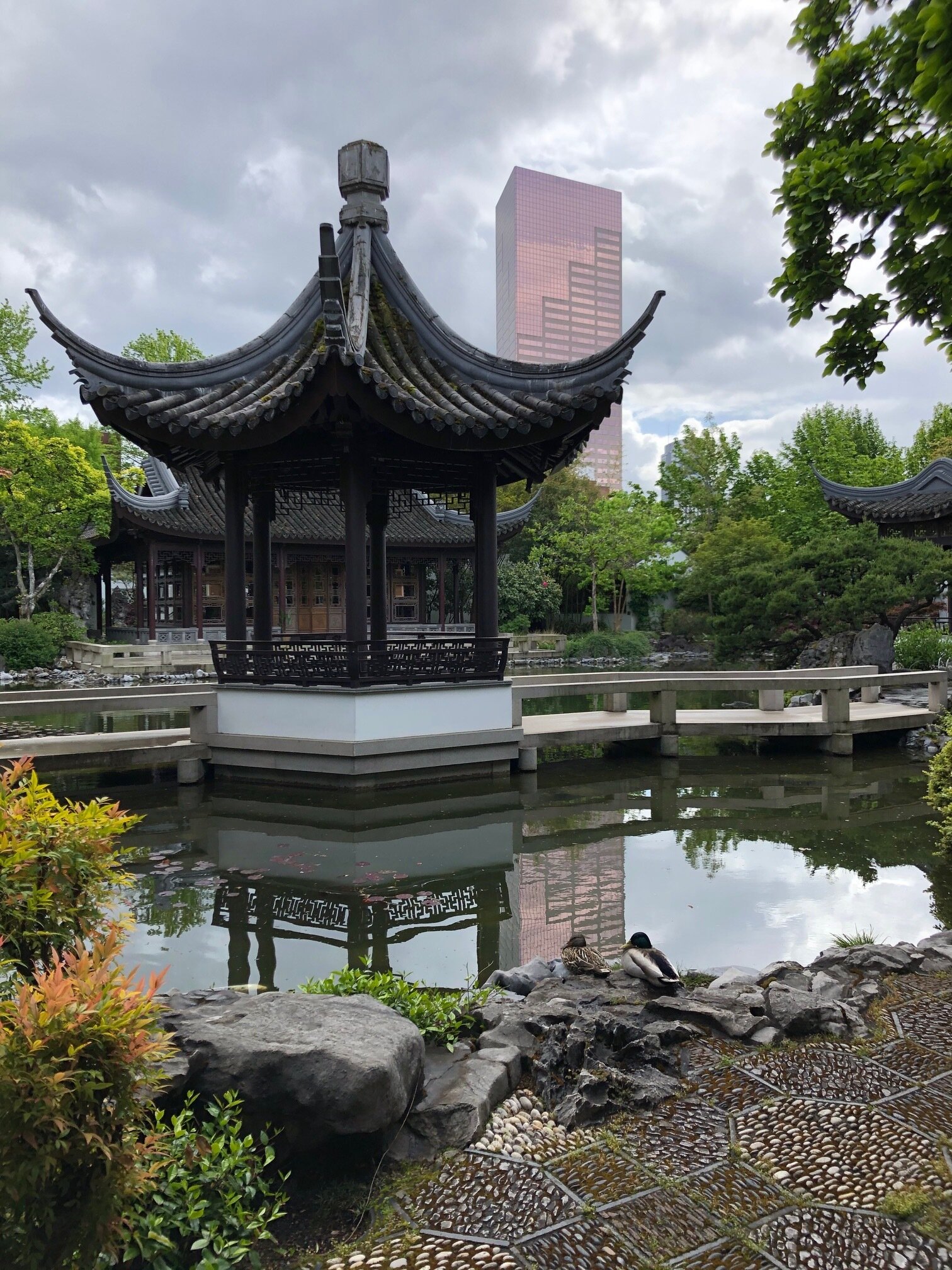 Lan Su Chinese Garden Portland Parks Foundation