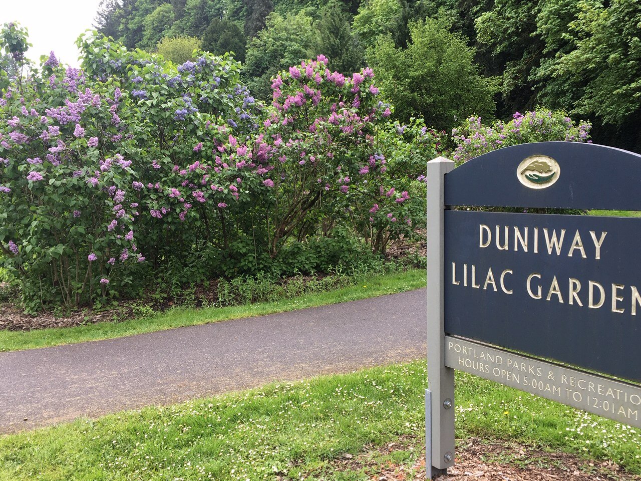 The Lilac Garden at Duniway Park