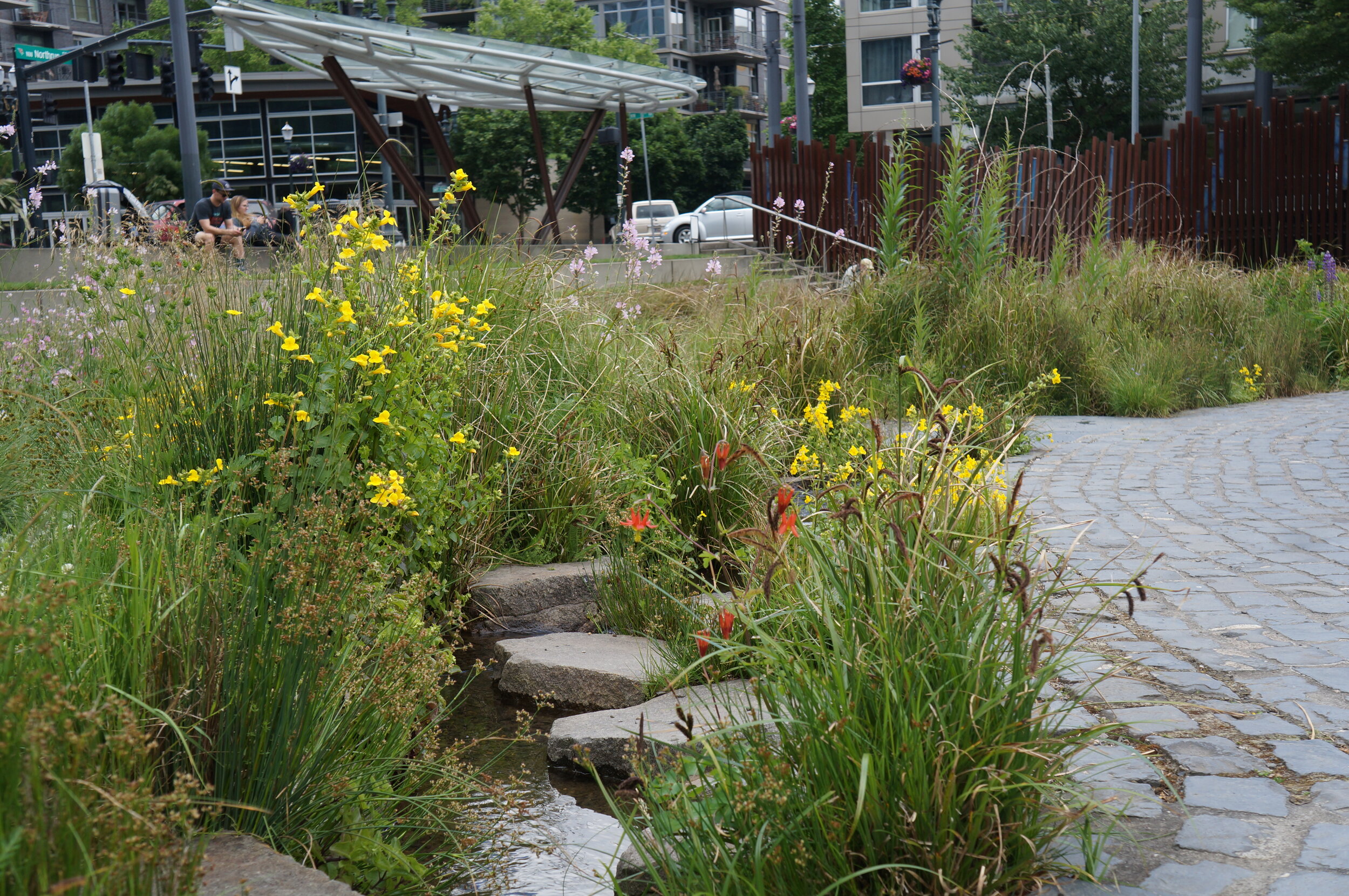 2 Tanner Springs Park Runnel Photo ┬⌐Michele Shapiro .JPG