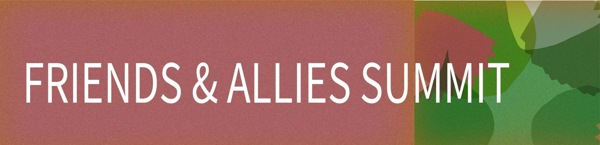 Friends+and+Allies+Summit+Banner+wout+dates.jpg