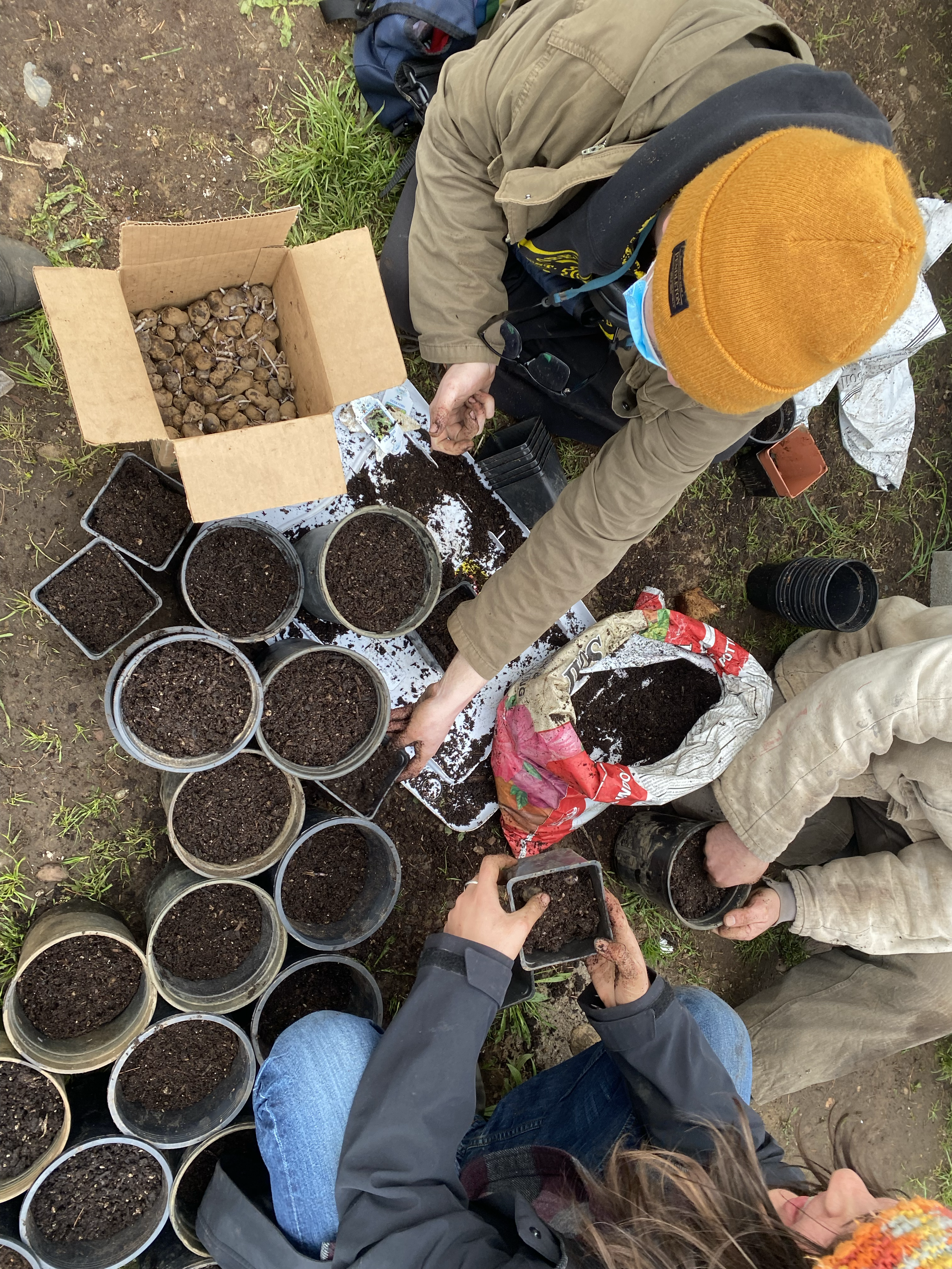 Urban farming workshop 1.png