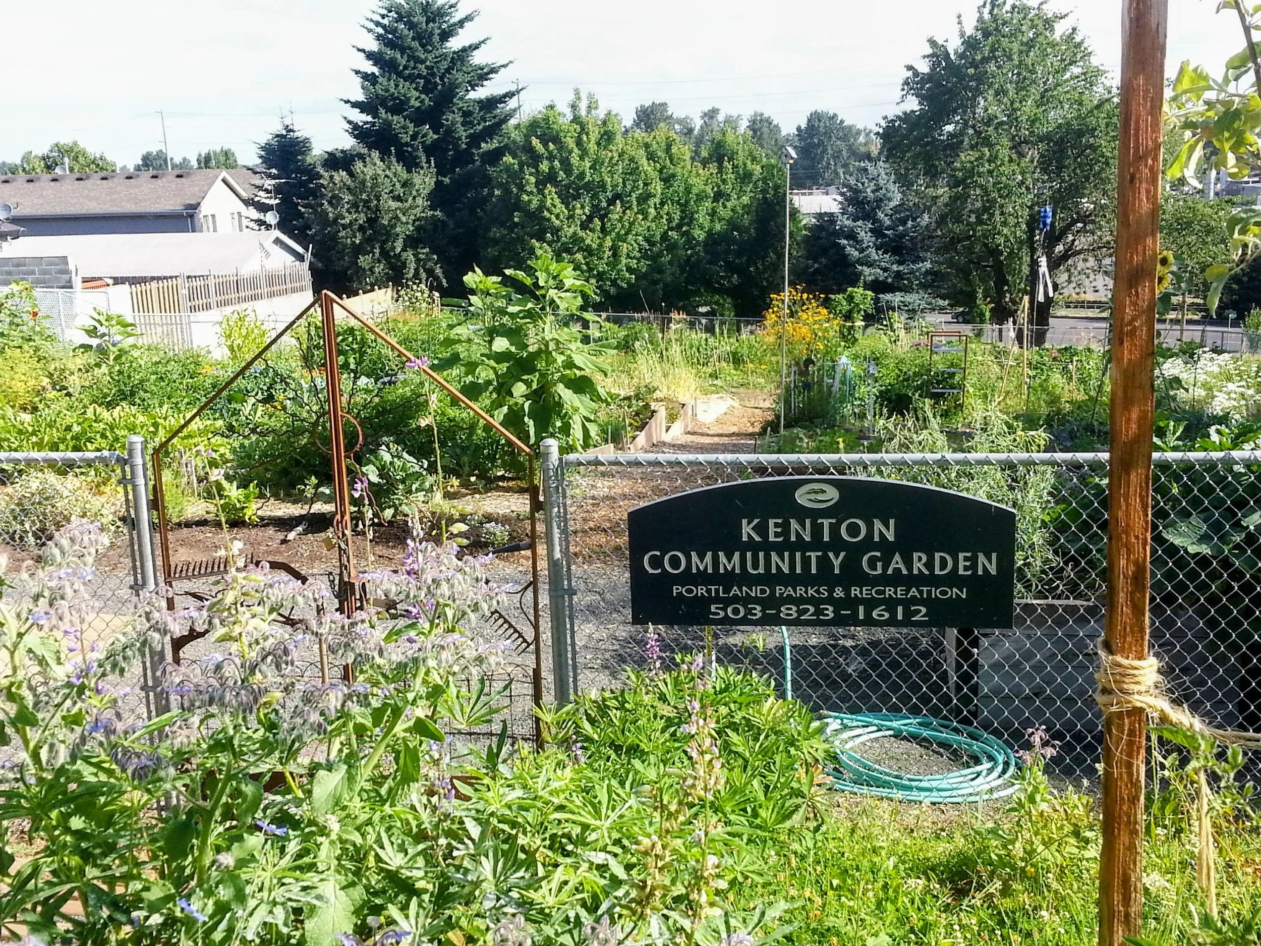 Kenton Community Garden.jpg