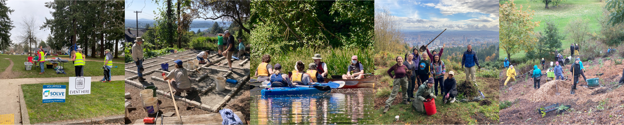 Park Champion Banner.png
