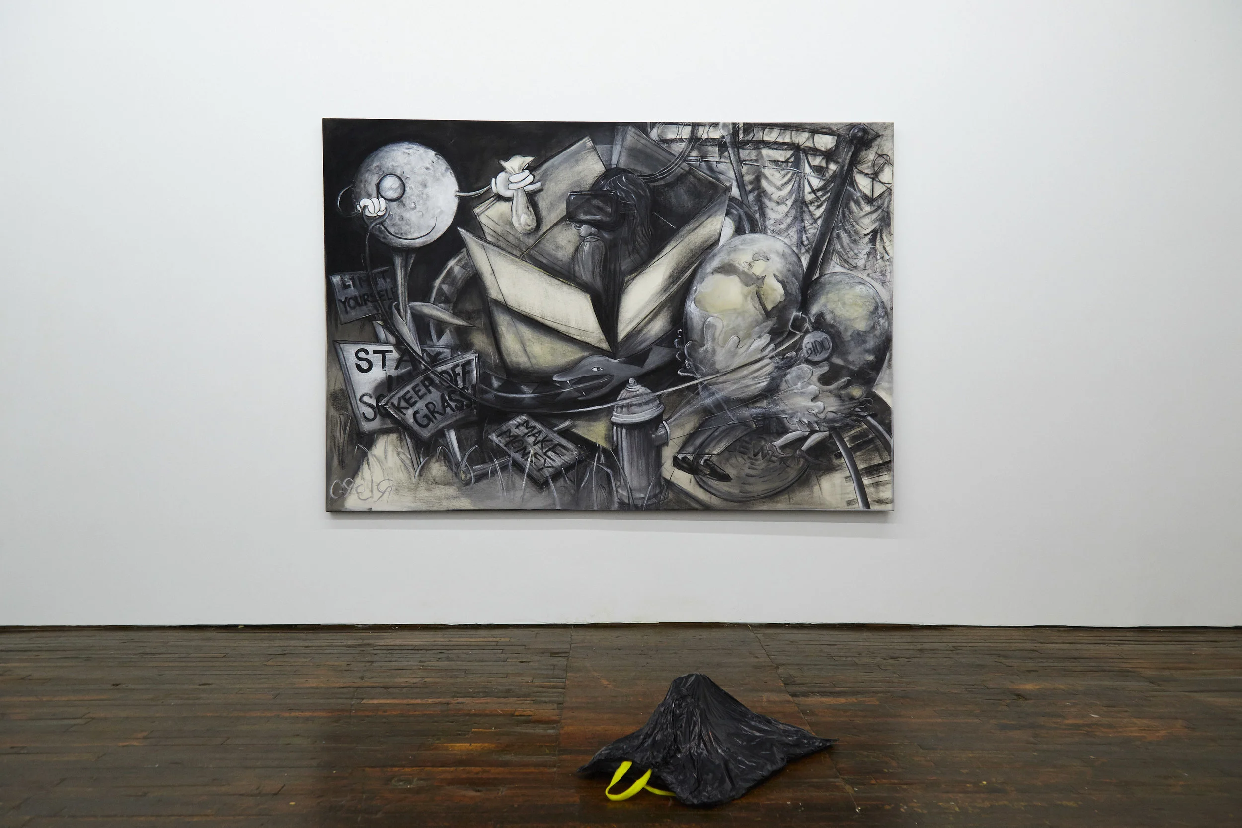  R.Lord and Jonathan Santoro, Toxoplasmosis installation view