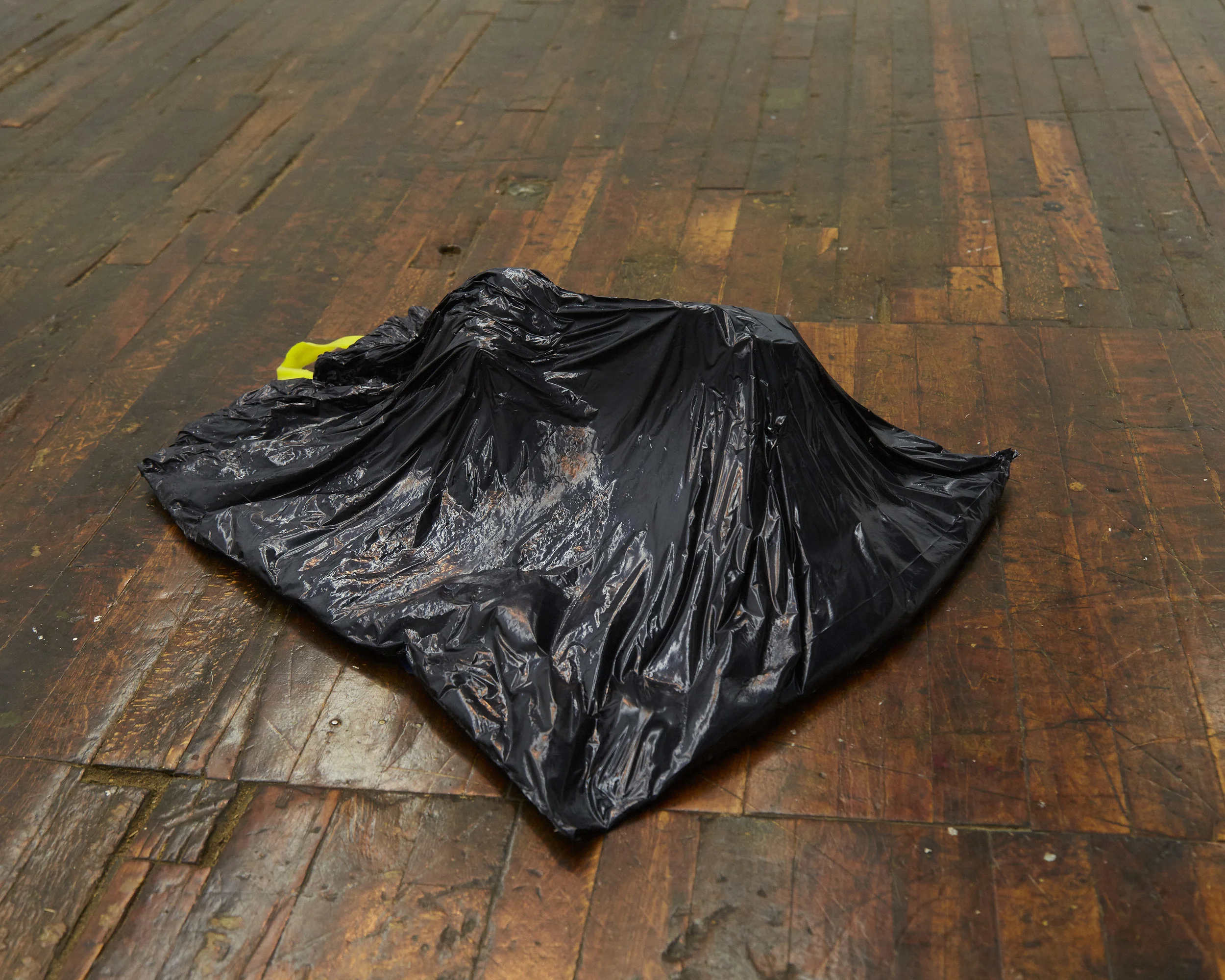  Jonathan Santoro, From Marrow Wonder , Cast urethane plastic, cast silicone rubber, wire, urethane foam, 2017