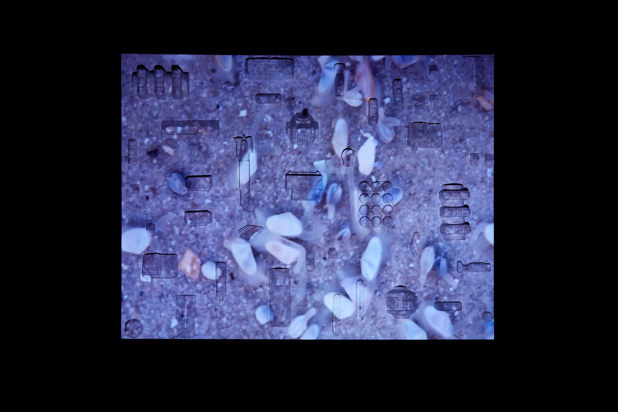 171002_HighTide_doc_0259.jpg