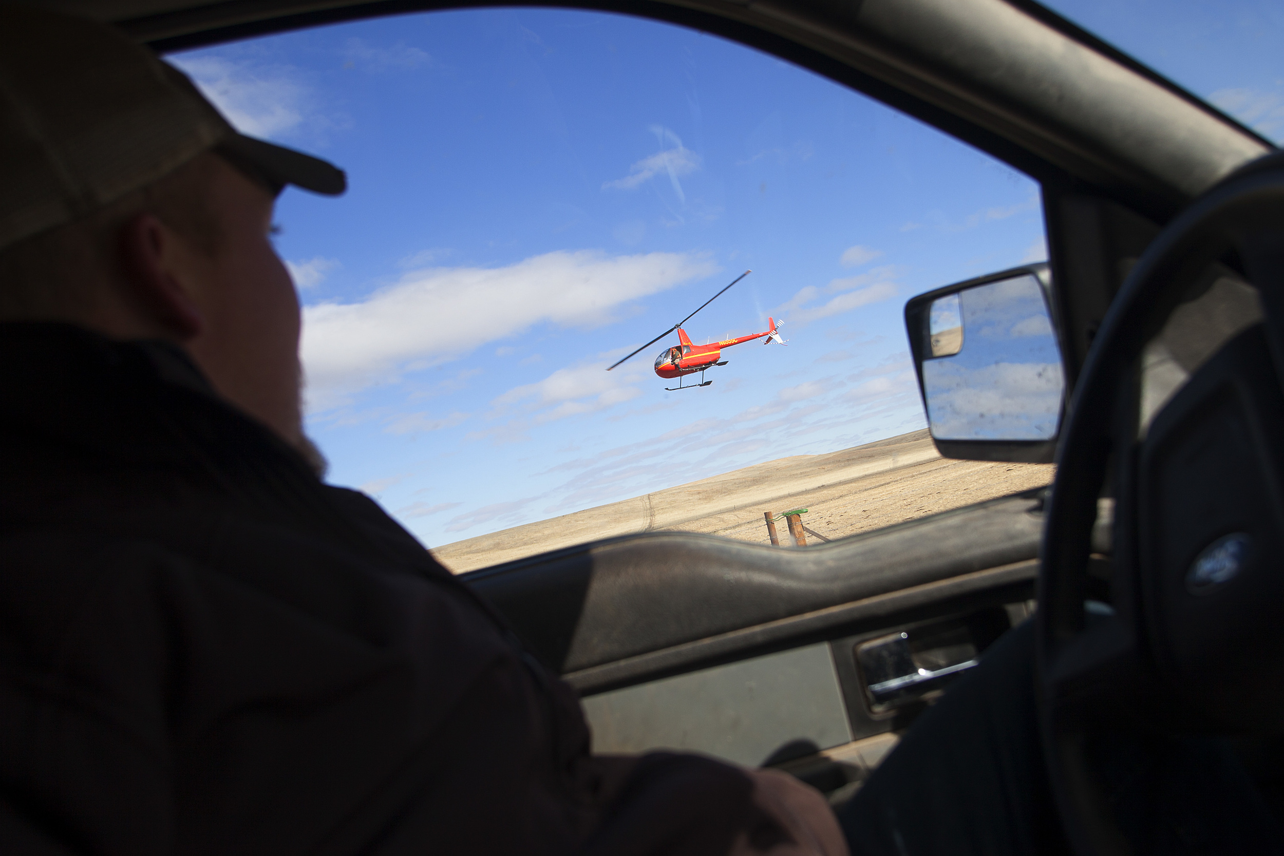 777 Bison Ranch Foreman, Justin Selke, watches as a helicopter scans the prairie for mule deer.