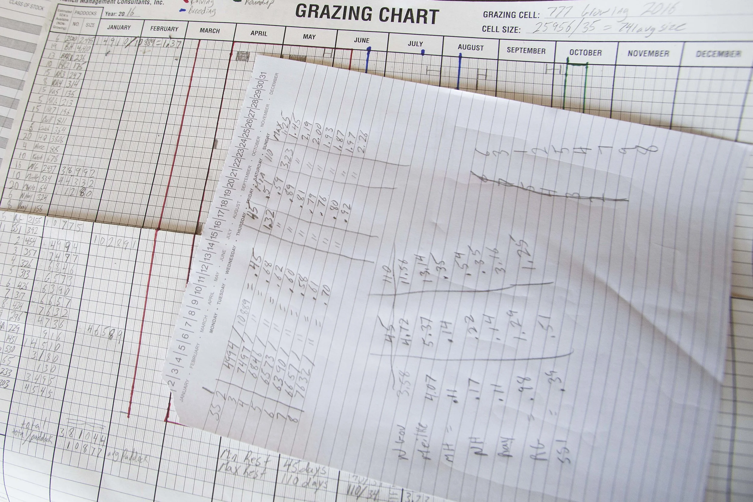 A timetable along with math problems is a key part in the Holistic/Regenerative grazing process.