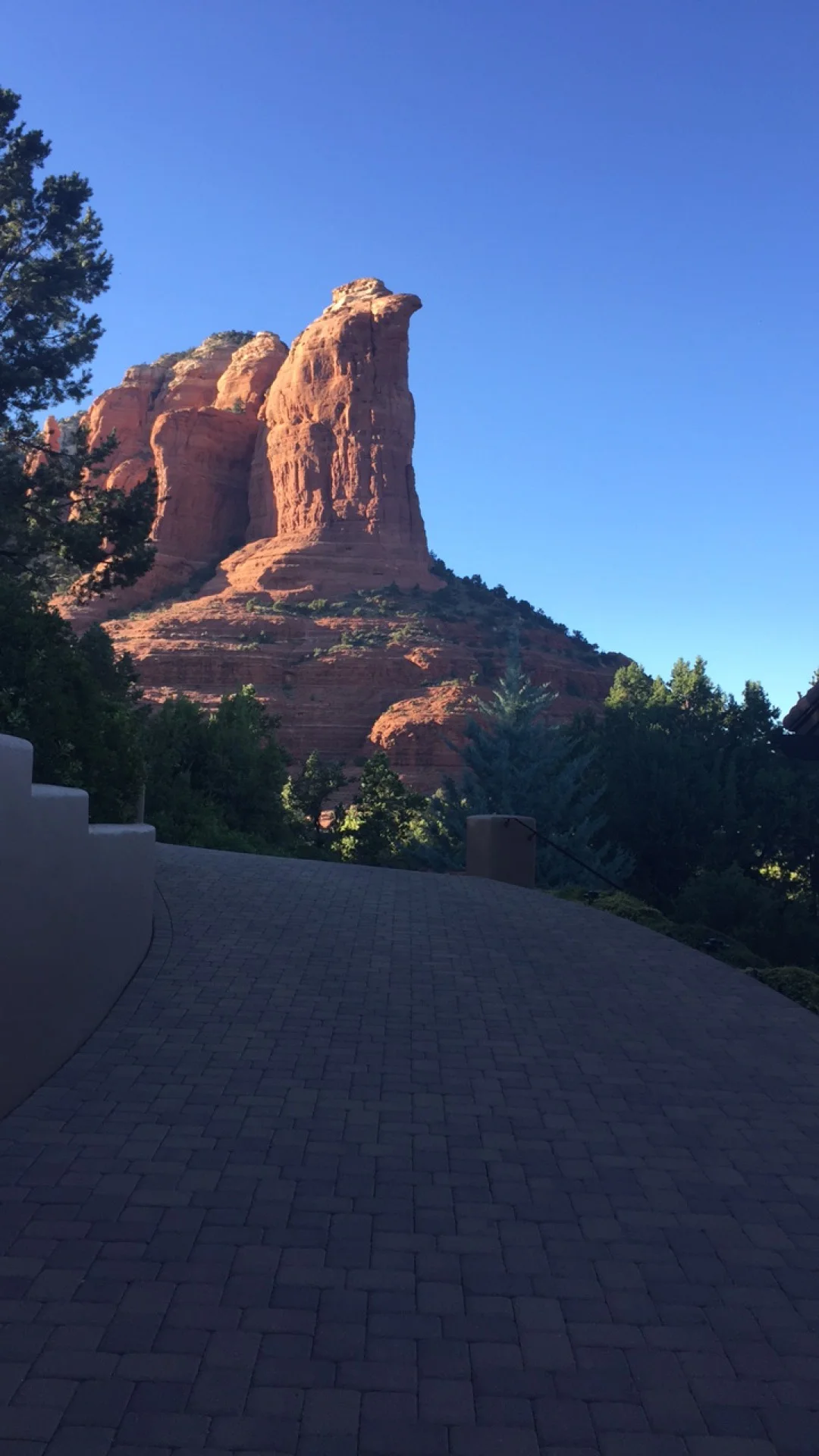 IMG_3706.jpg