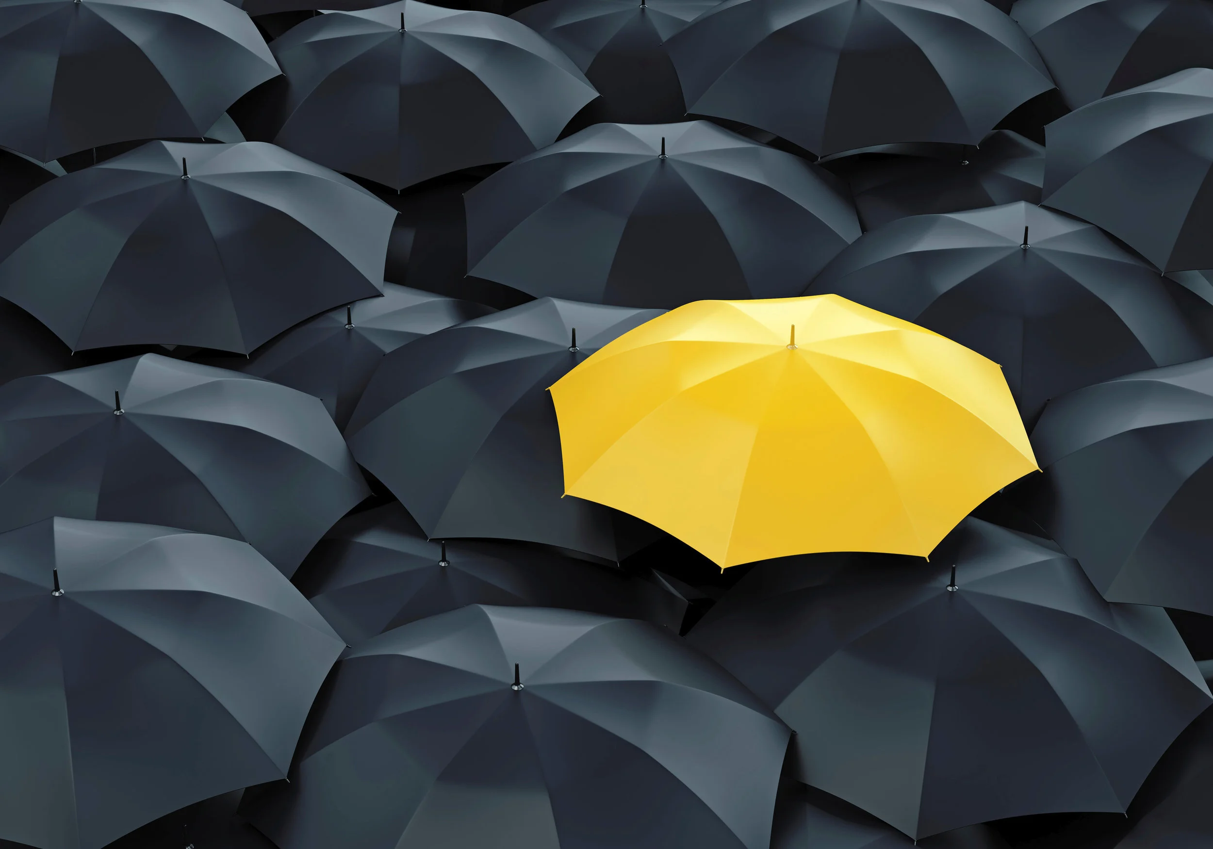Yellow-umbrella-among-dark-ones-000068293407_Large.jpeg