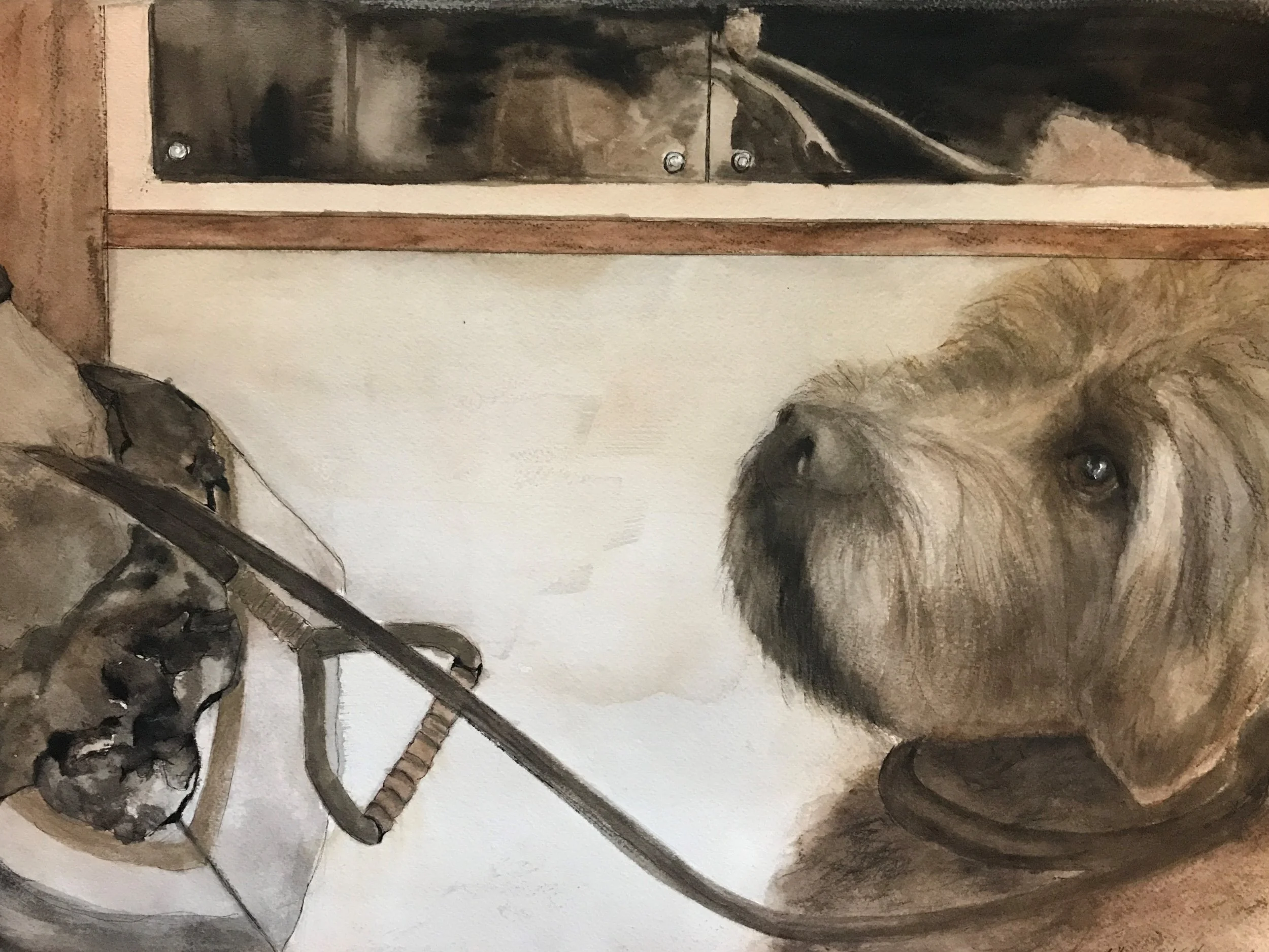Dog in Elevator 20" x 16"- Original $295