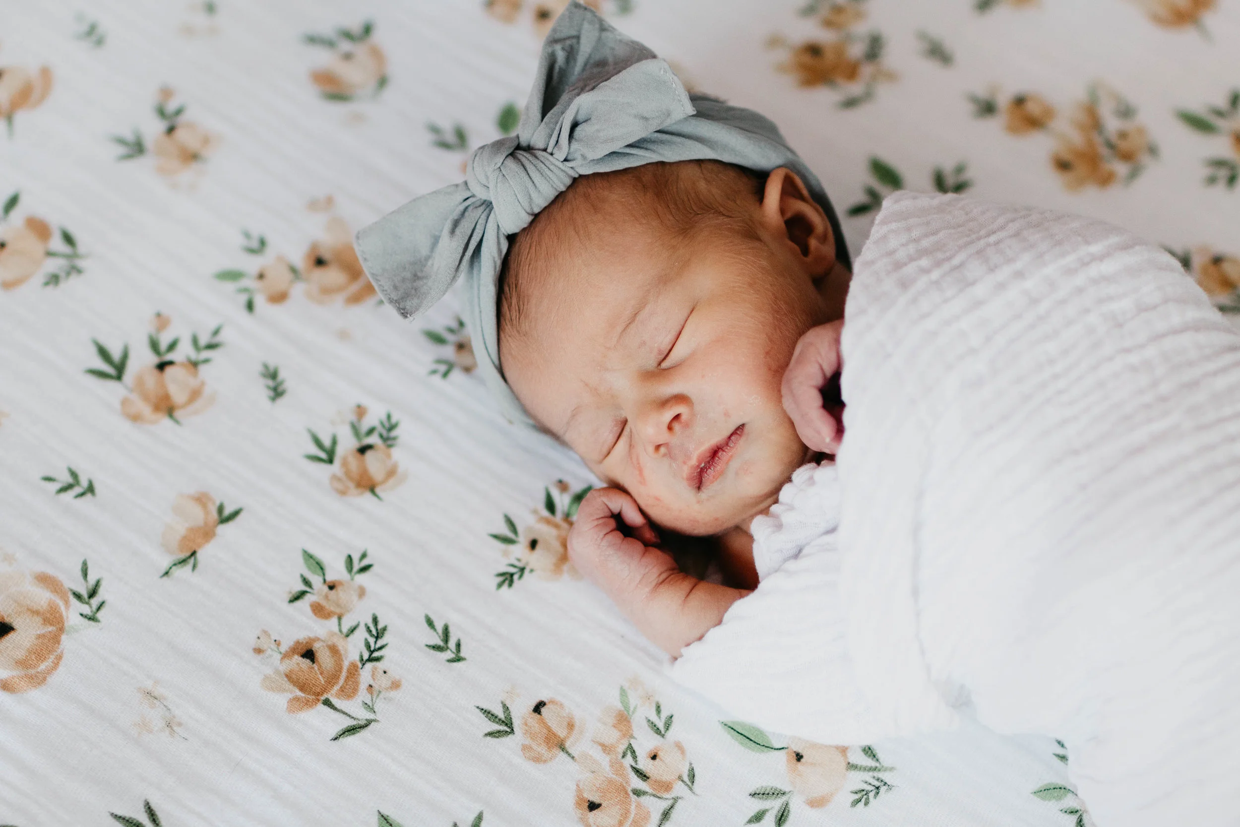 stella rose-5.jpg