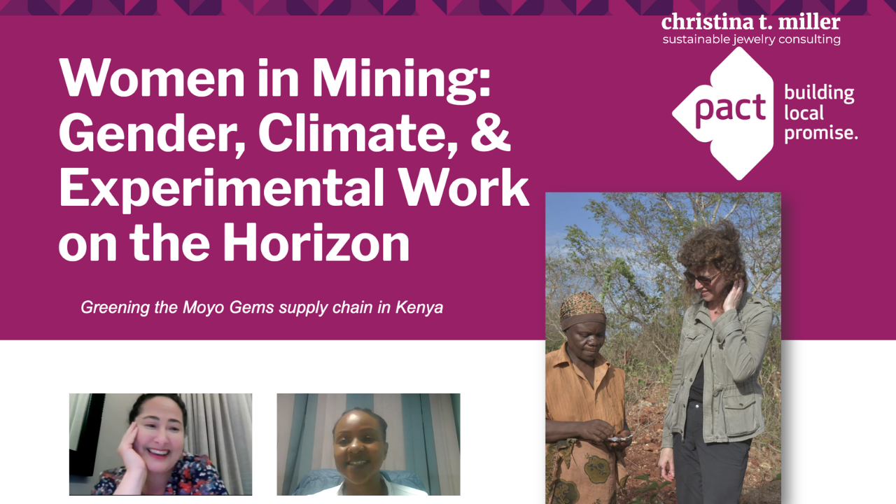 Living Room Session. Women in Mining: Gender, Climate, &amp; Experimental Work on the Horizon