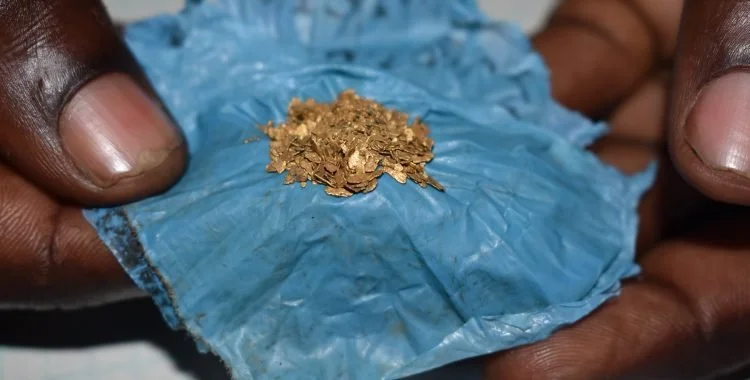 Male hands showing specks of gold on a blue piece of plastic