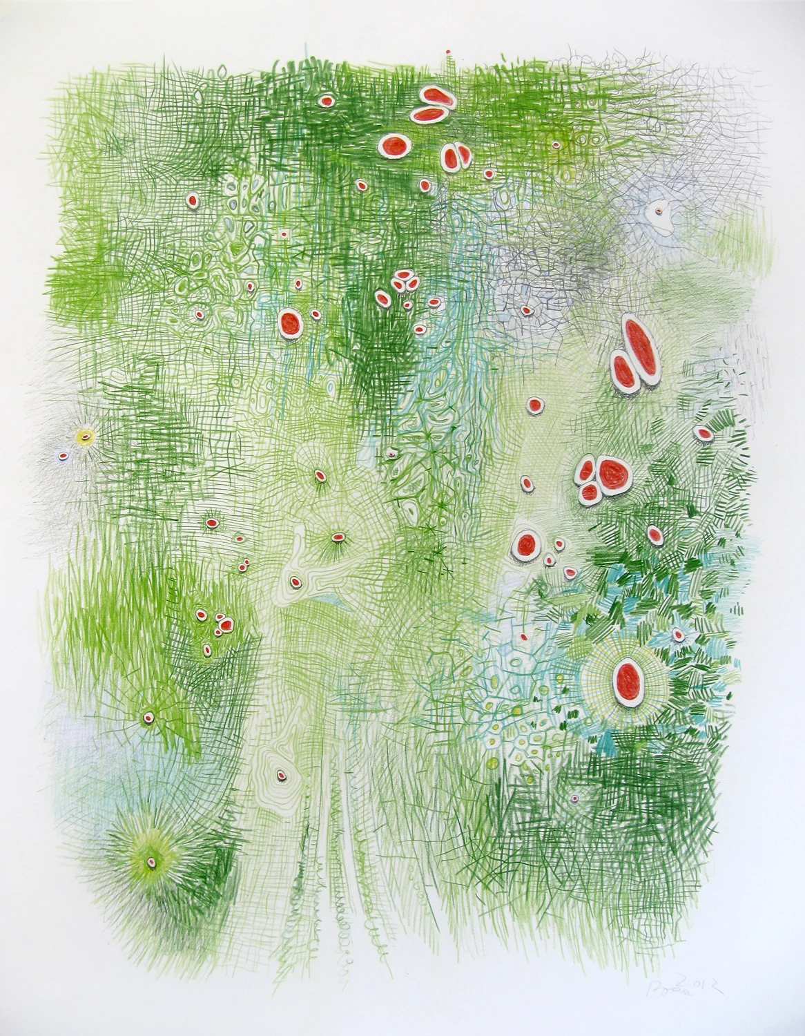 Summer 1, 2012, color pencil, graphite. 28 1/2 x 22 inches