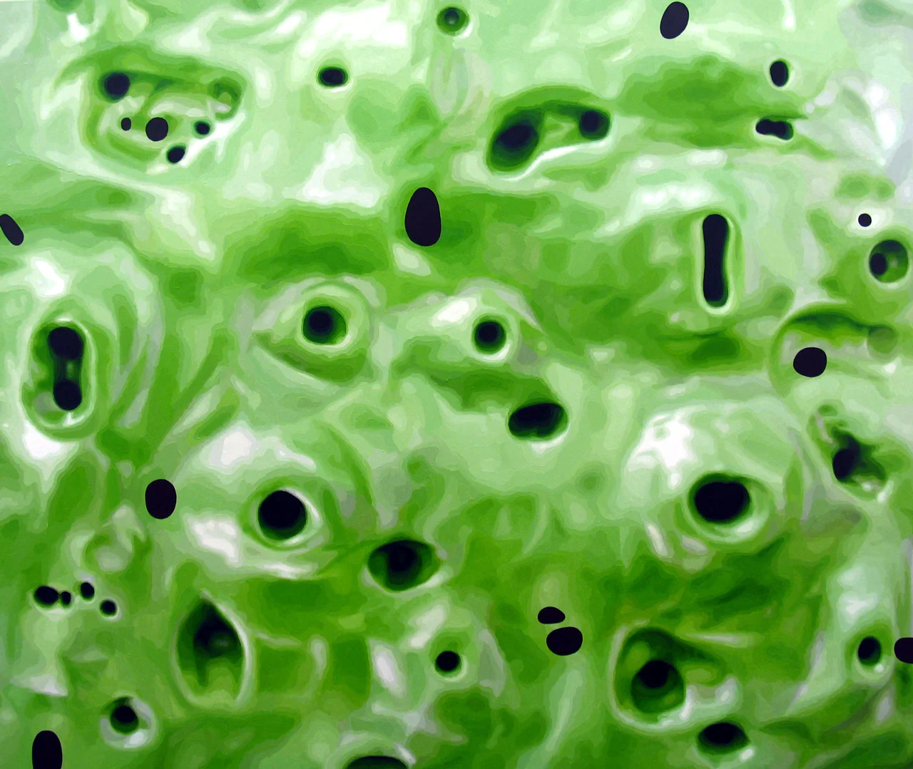 Untitled, 2006, oil on canvas, 60 x 72 inches