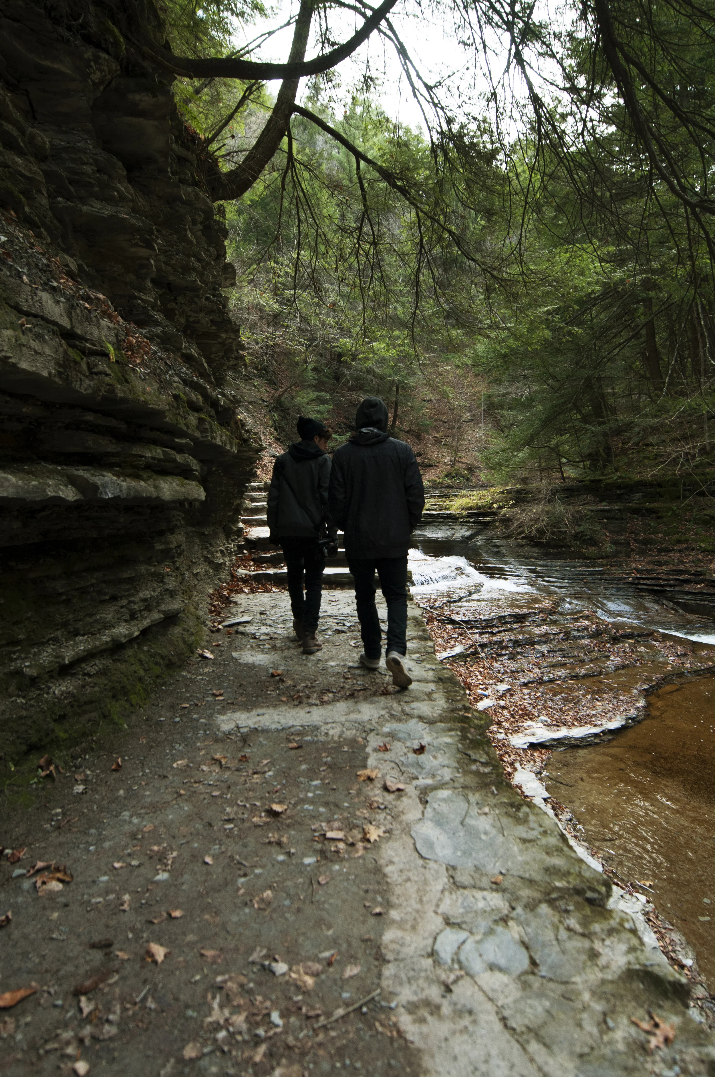 trail2.jpg
