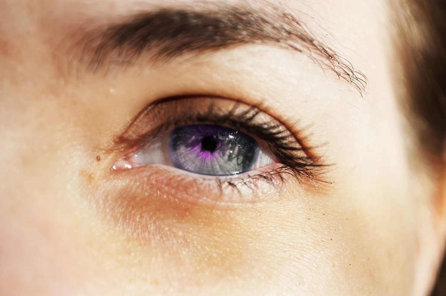 angelicaeyepurple.jpg