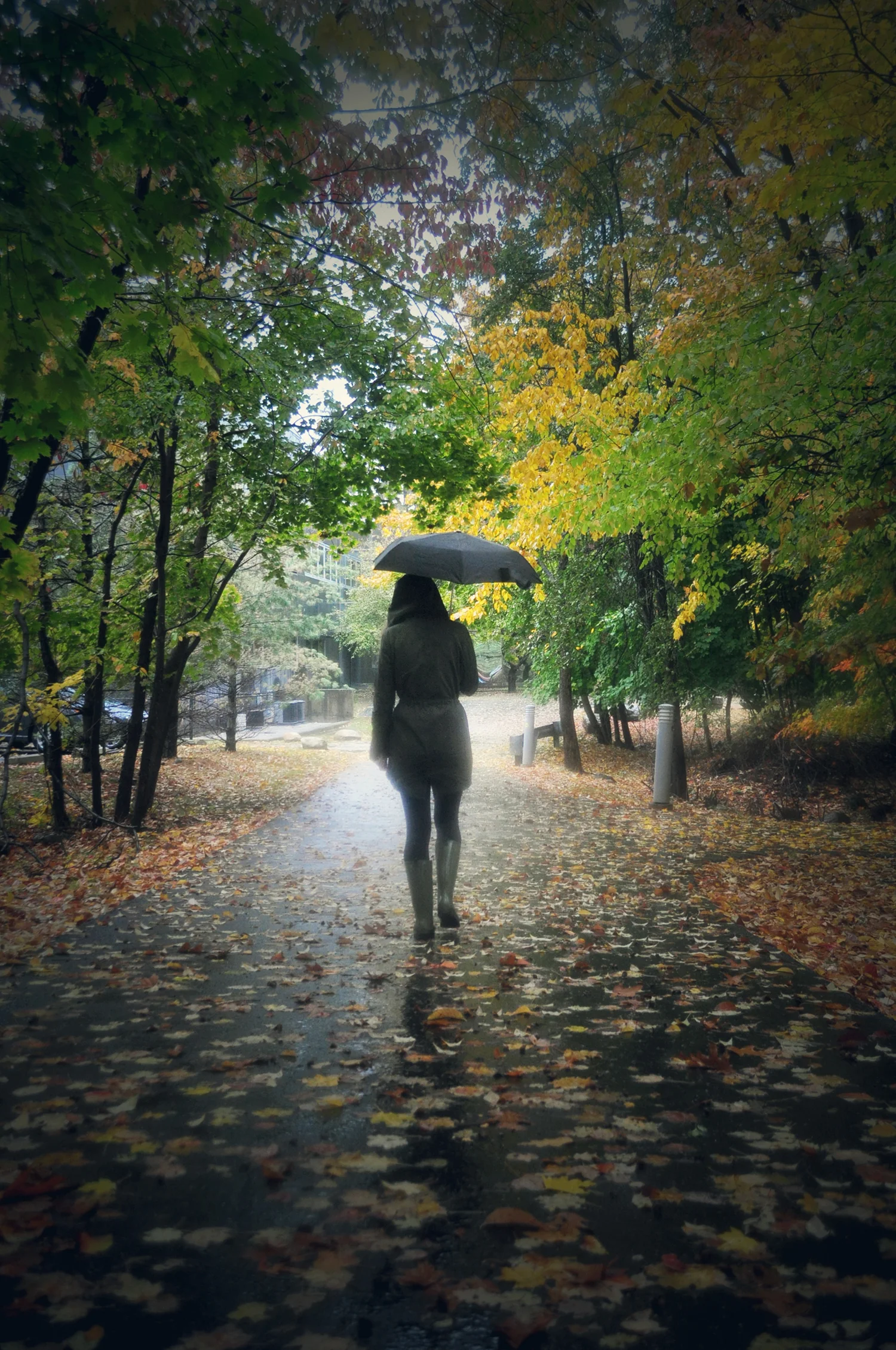 raingel.jpg