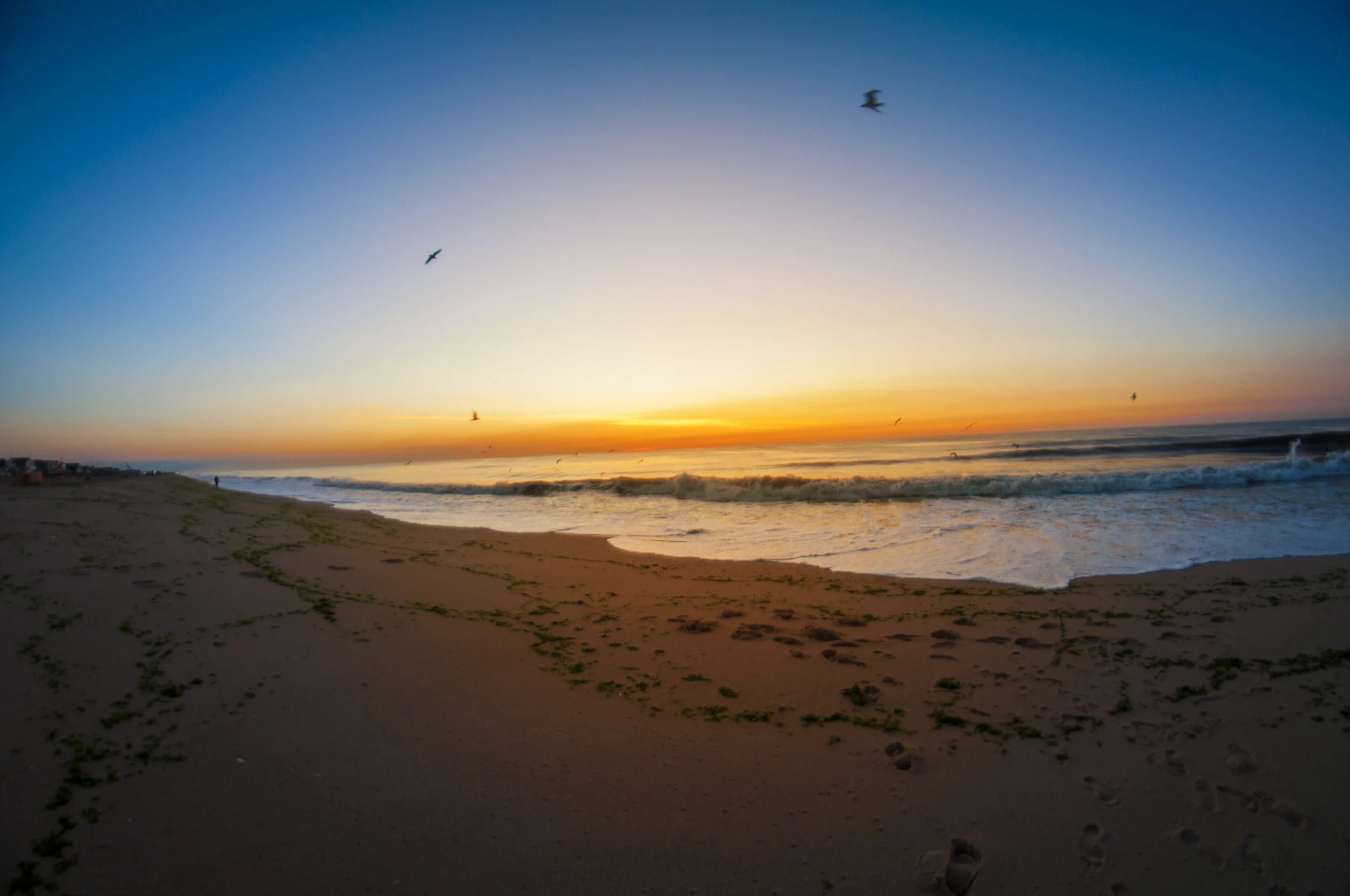 Sunrise10.jpg