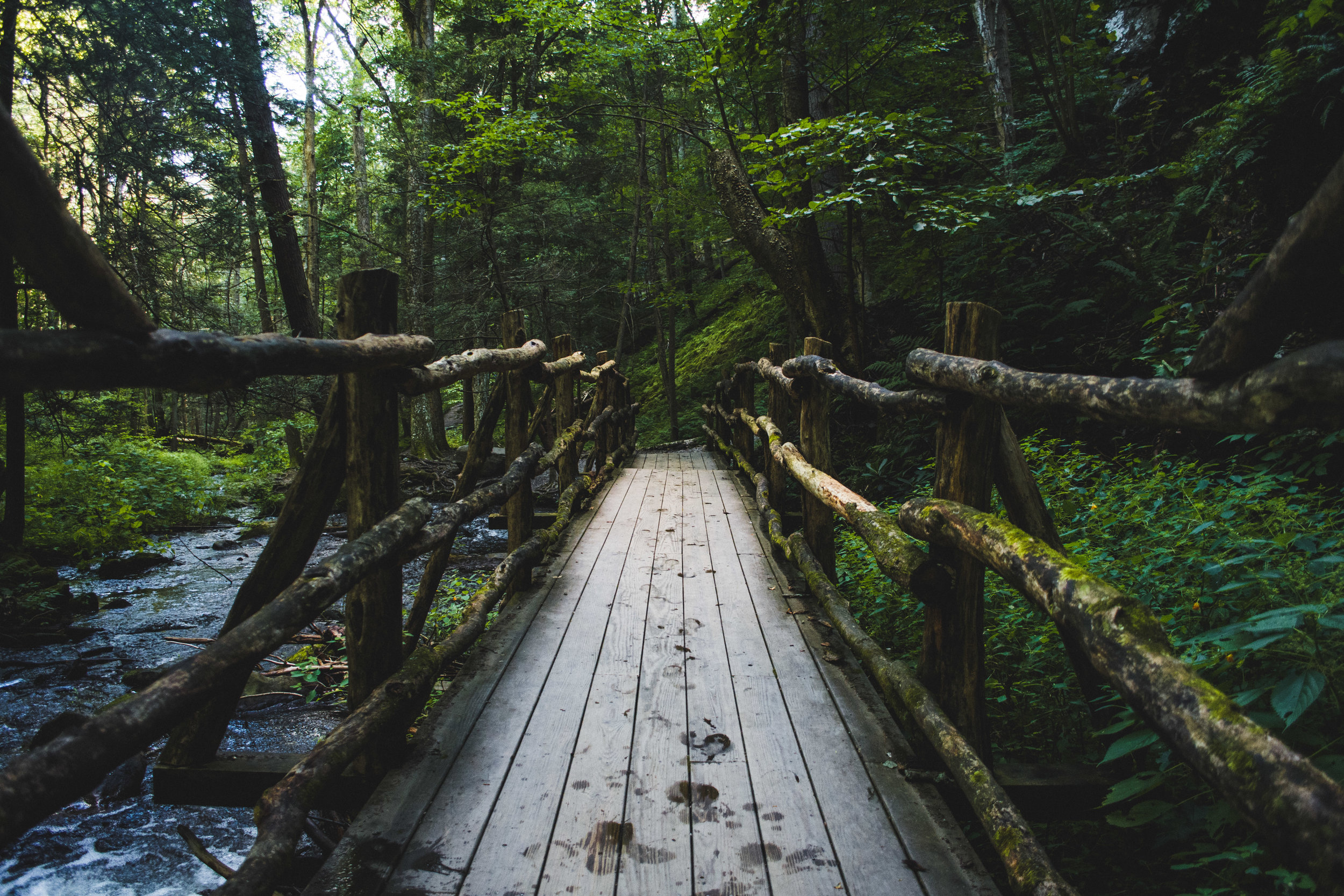 Waterfall Bridge.jpg