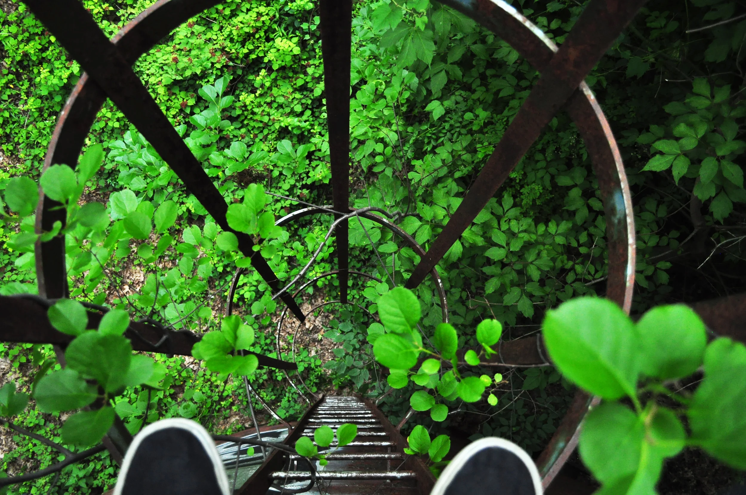 Ladderdown.jpg