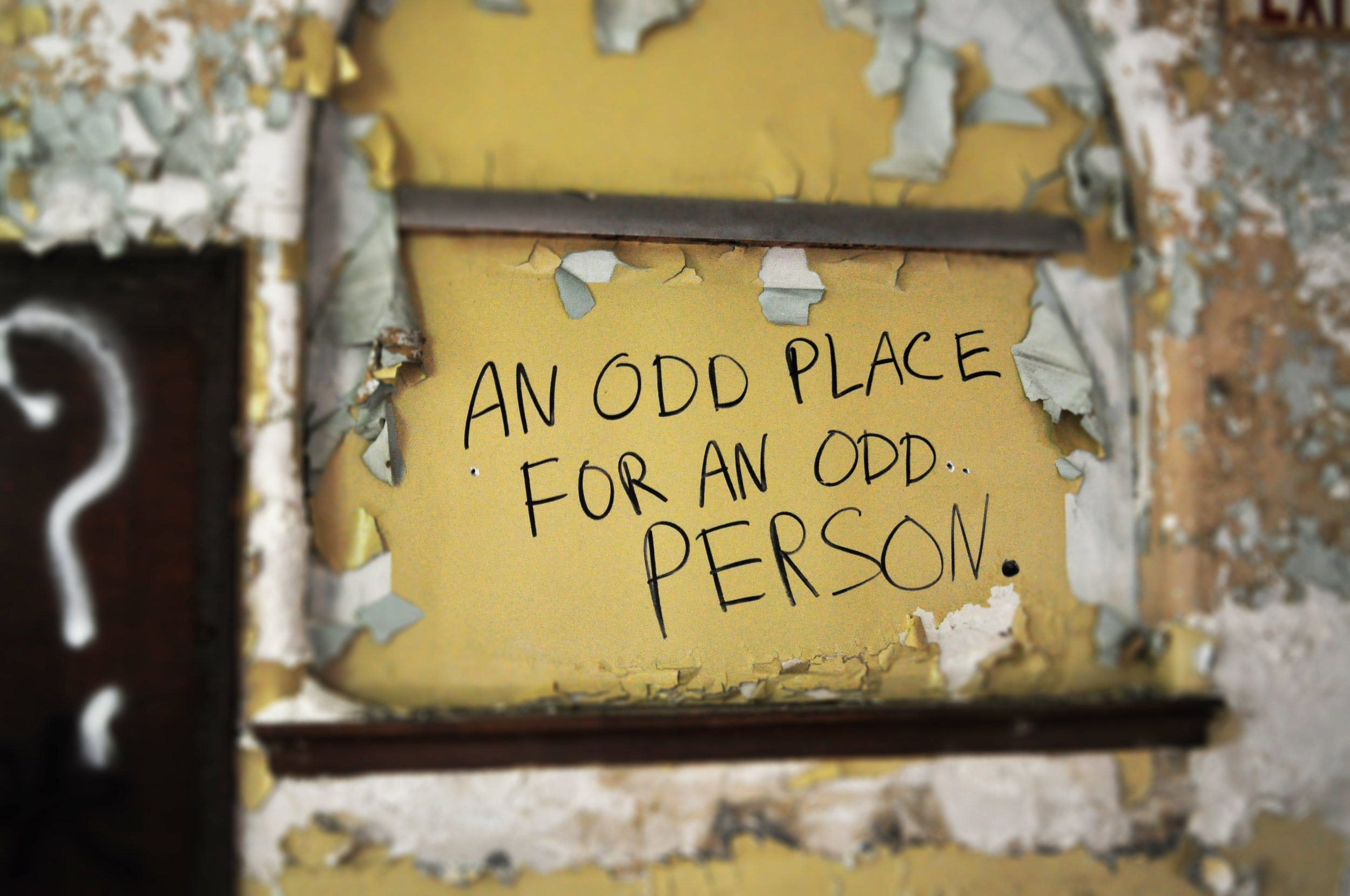 oddplaceforoddperson.jpg