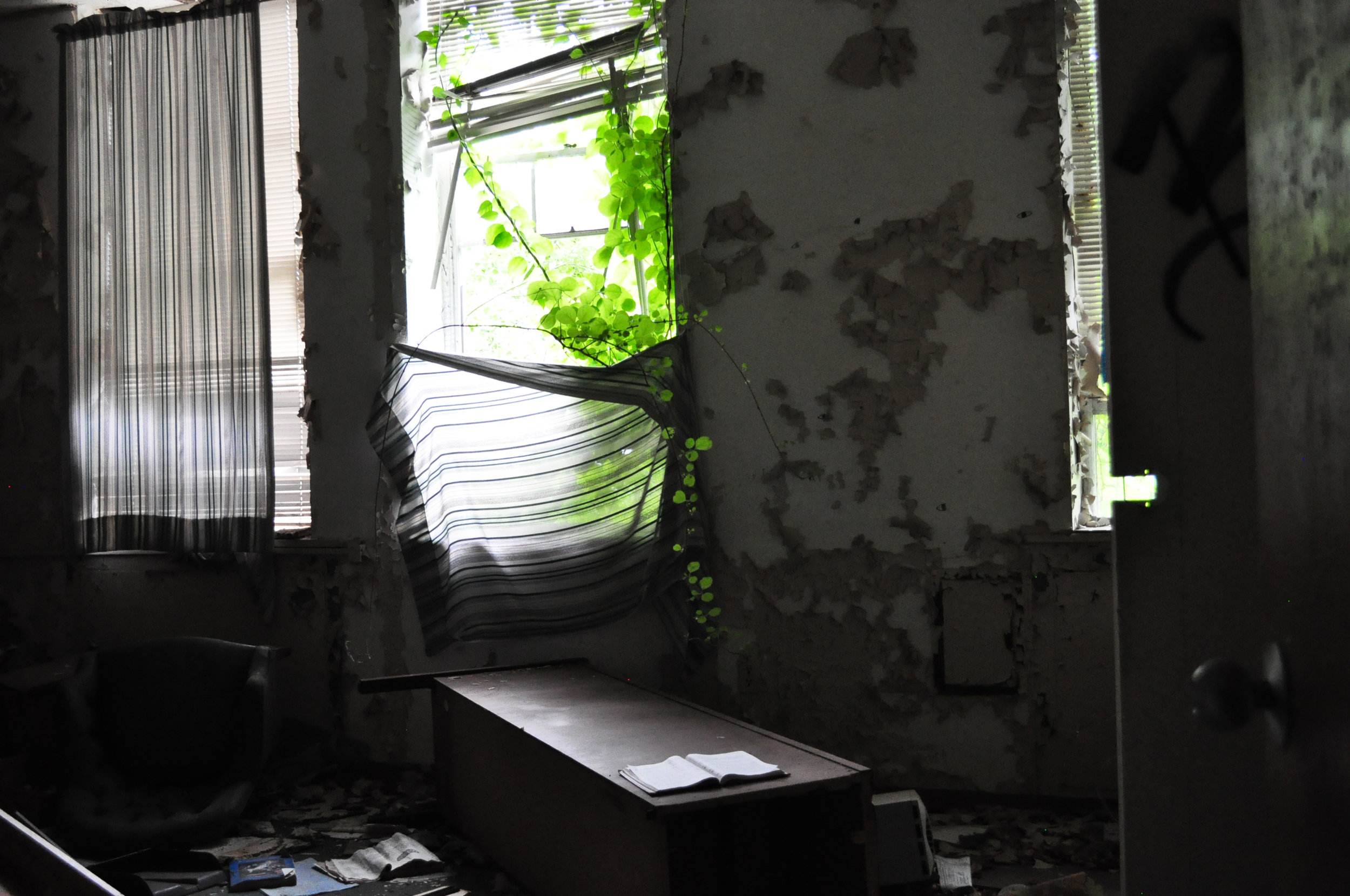window.jpg
