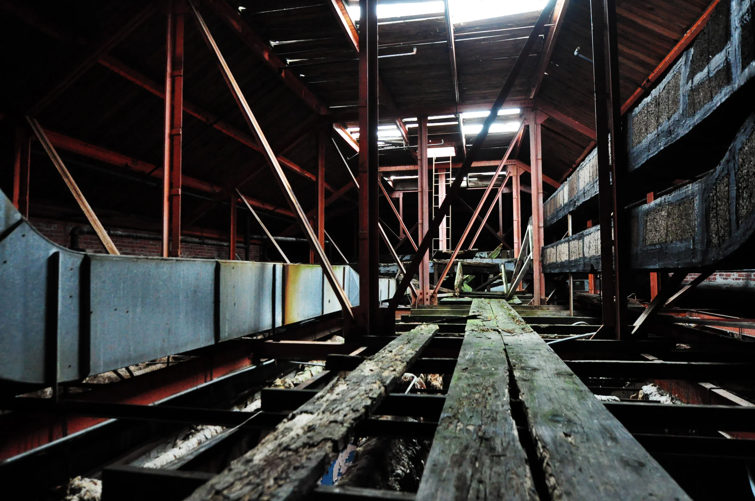 rafters3.jpg