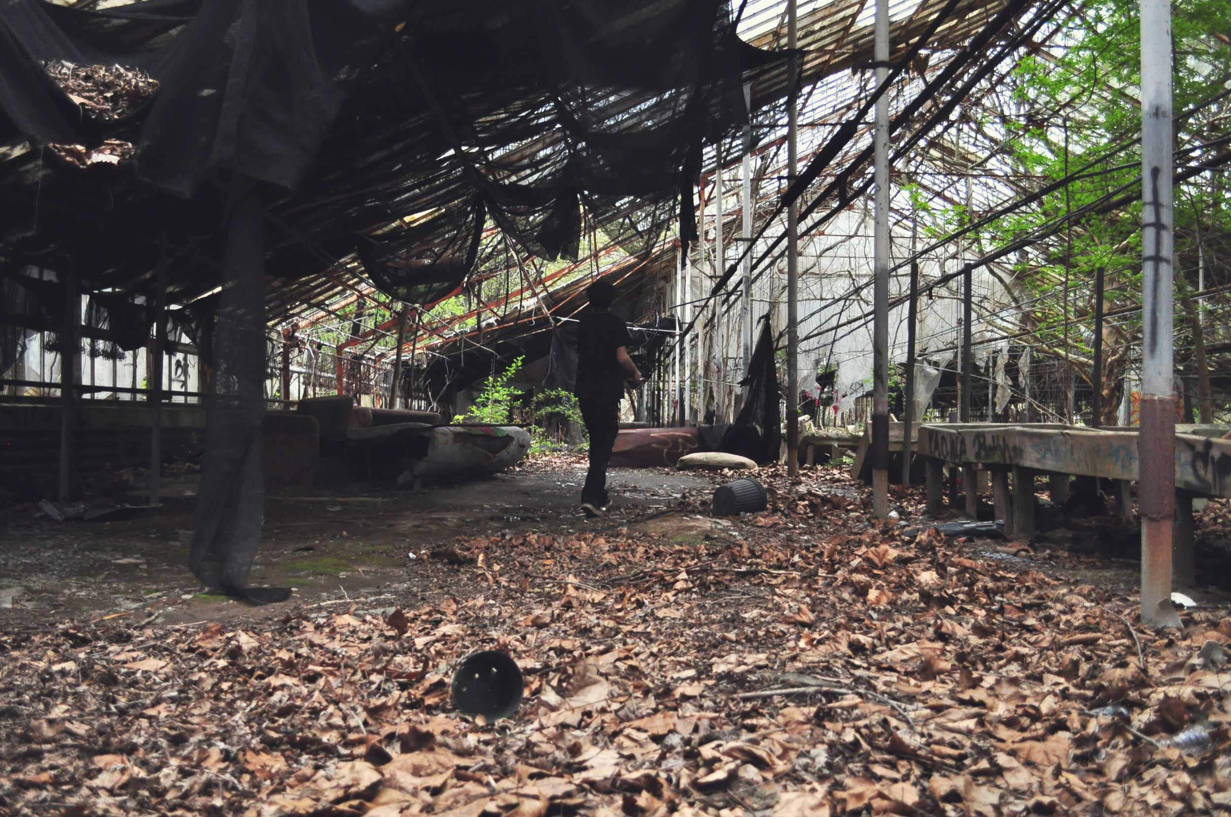 adventuregreenhouse.jpg