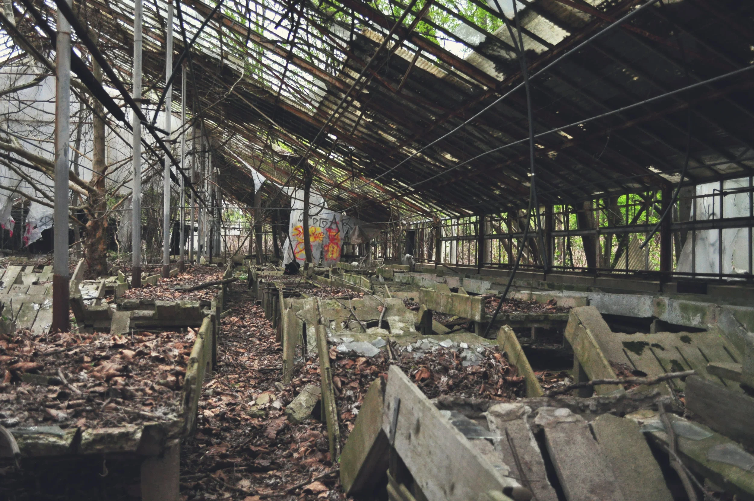 greenhouse6.jpg