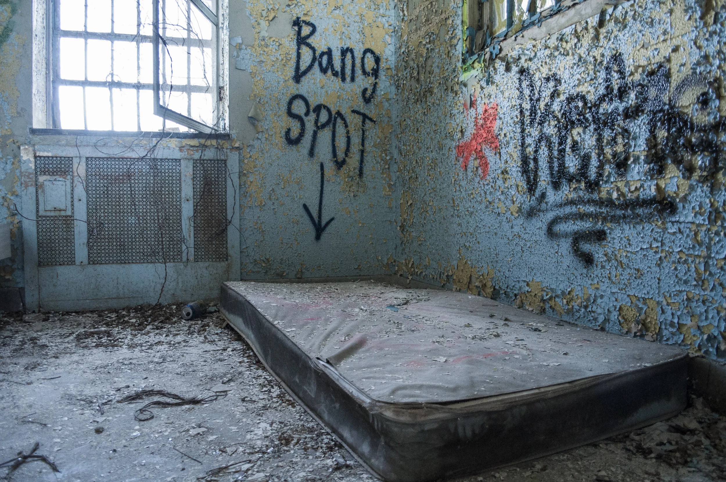 KingsPark9.jpg