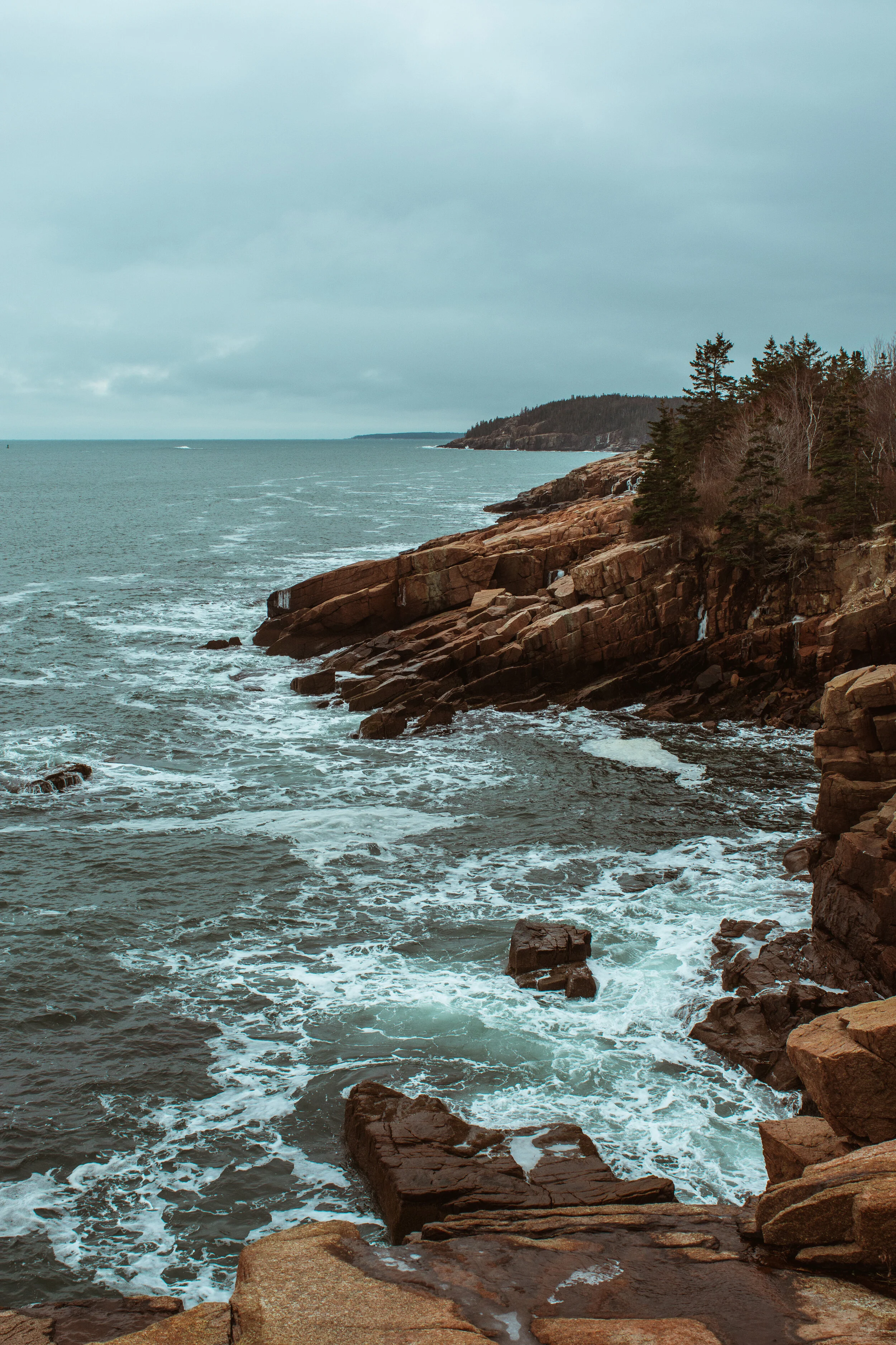 Acadia 2020-8 small.jpg