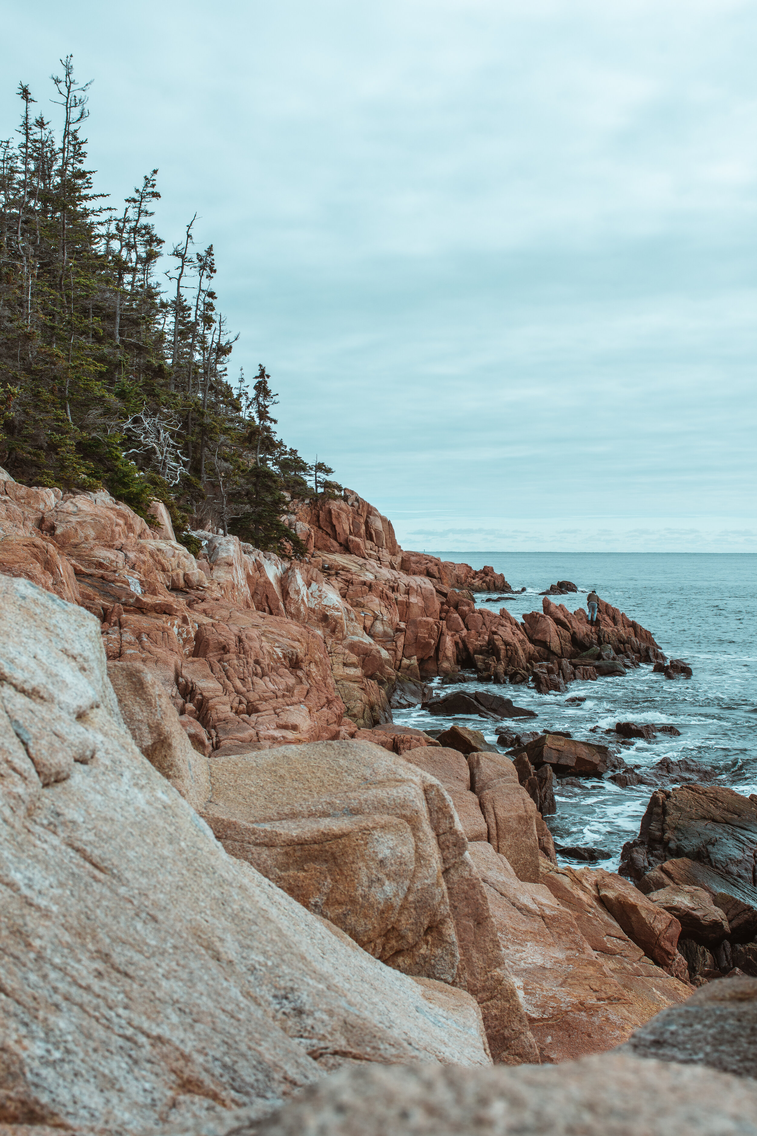 Acadia 2020 Day 2-30.jpg