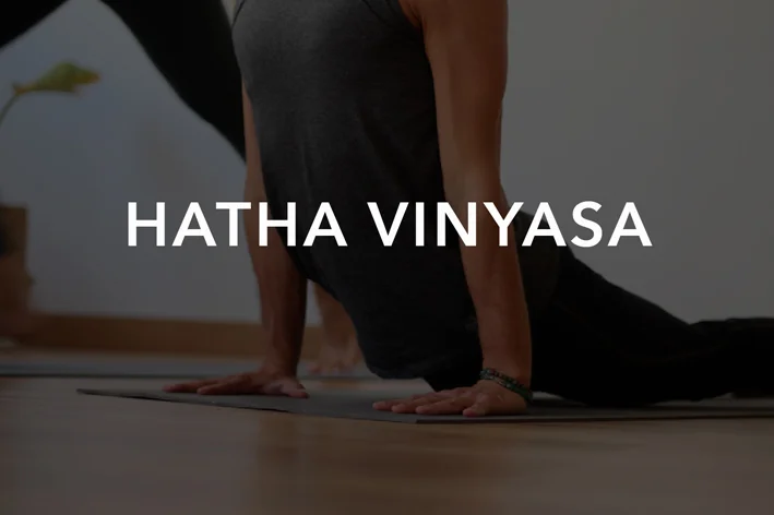 Clase donde se combina el dinamismo propio del Vinyasa con momentos de posturas más mantenidas. Esta sesión es ideal para aprender aspectos esenciales en la práctica como las transiciones fluidas entre posturas, las diferentes técnicas de respiración (Pranayama) o los cierres energéticos (Bandhas).