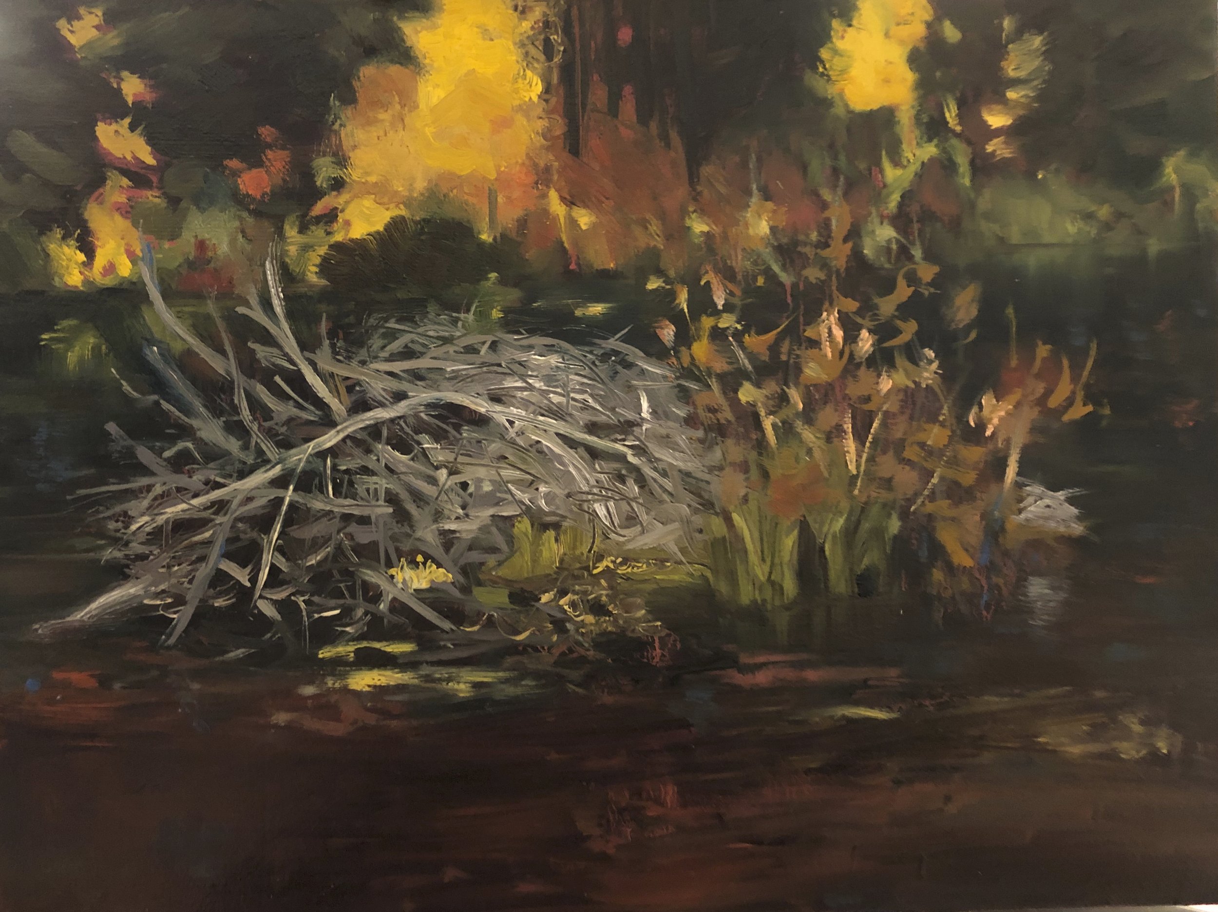 Quiet Pond with Old Dam 9x12"