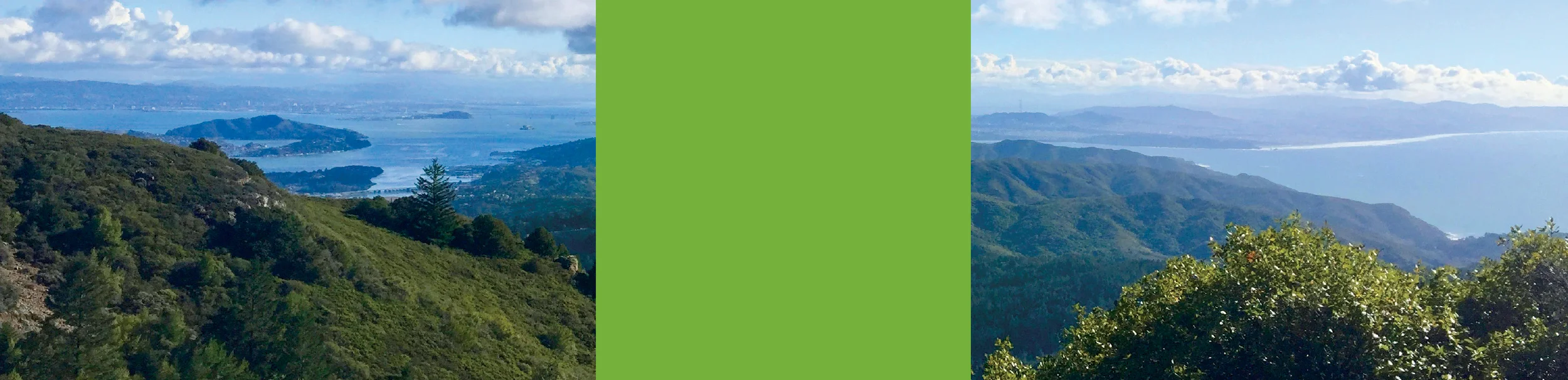 begin-bar2.jpg