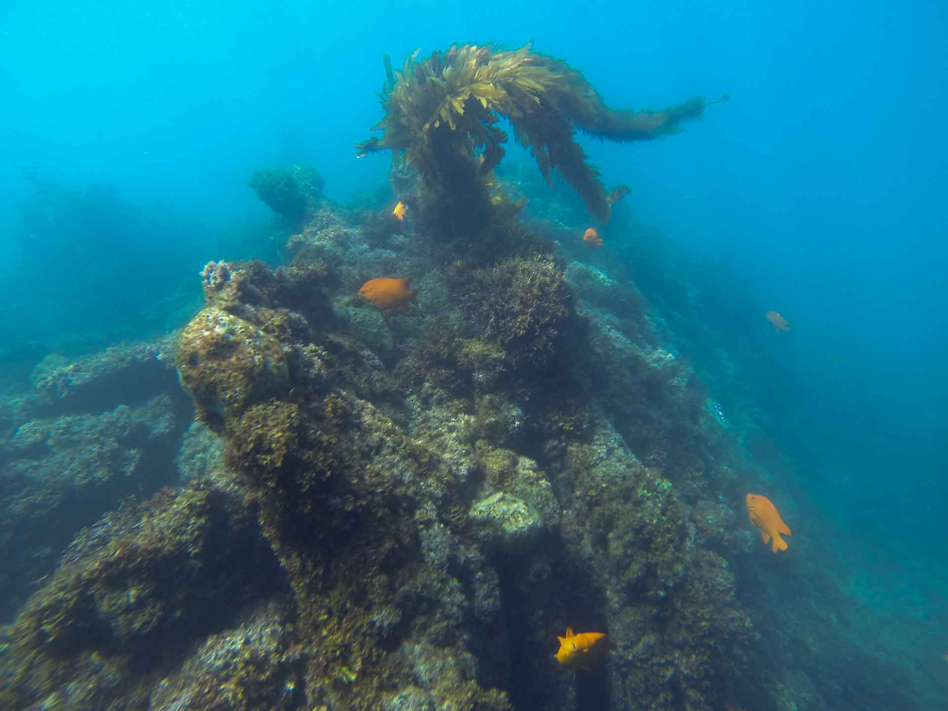 A Rock Reef in Southern California