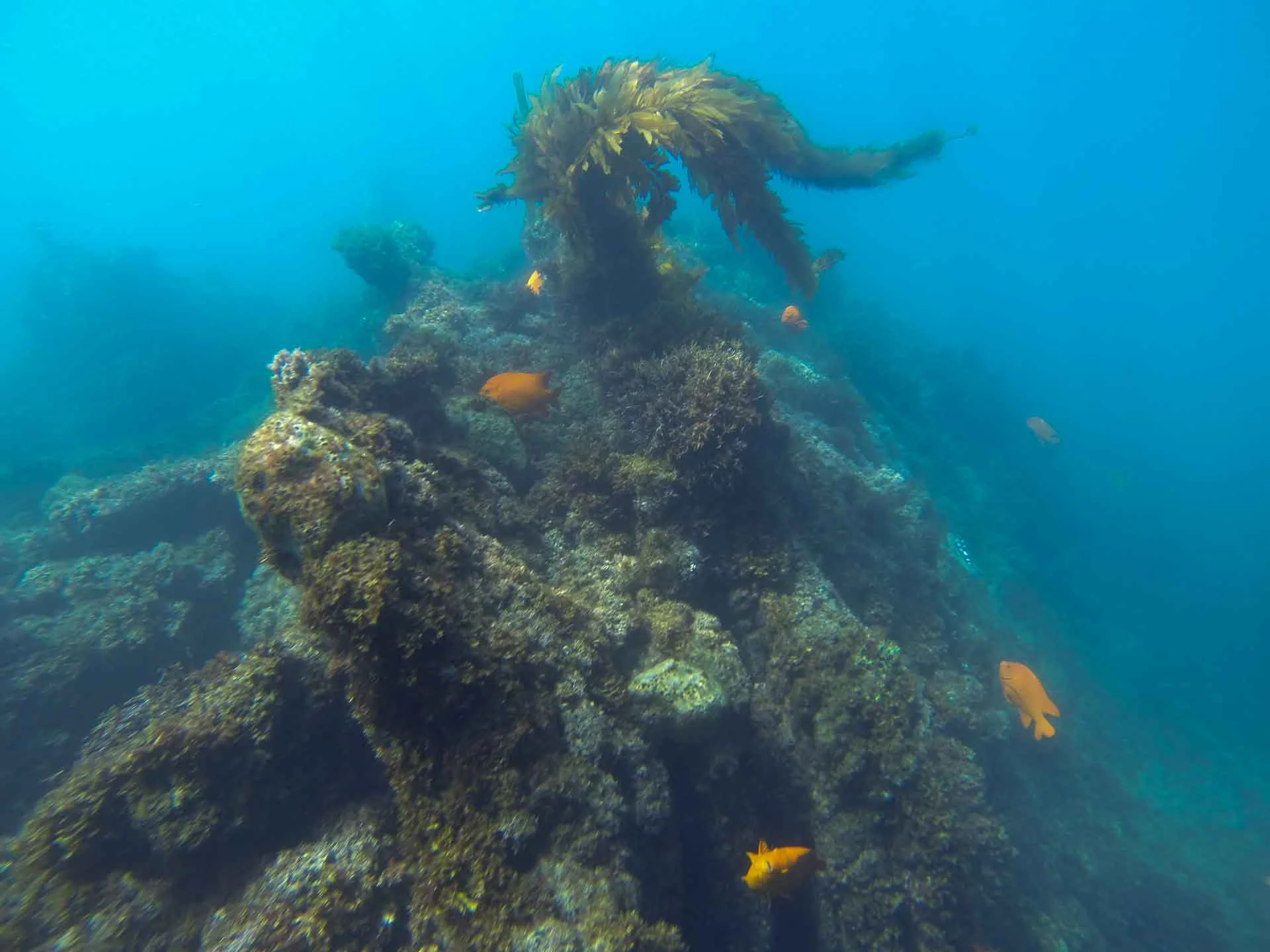 A Rock Reef in Southern California