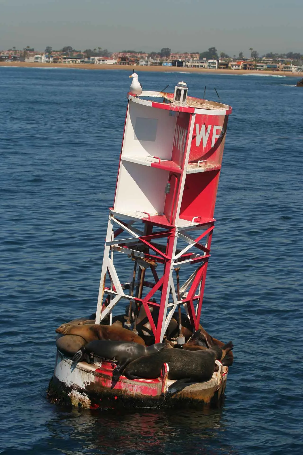 SLDwebMW-48.jpg