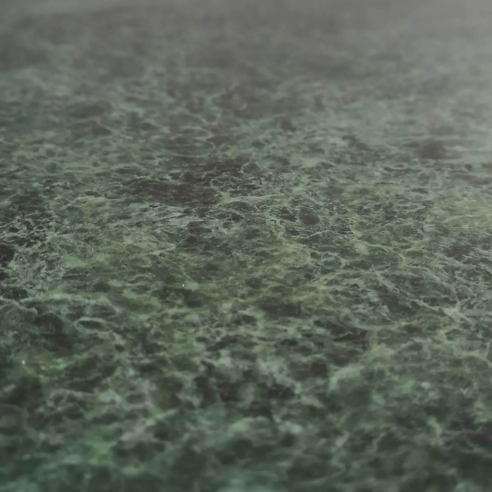 GREEN PATINA (6).jpg