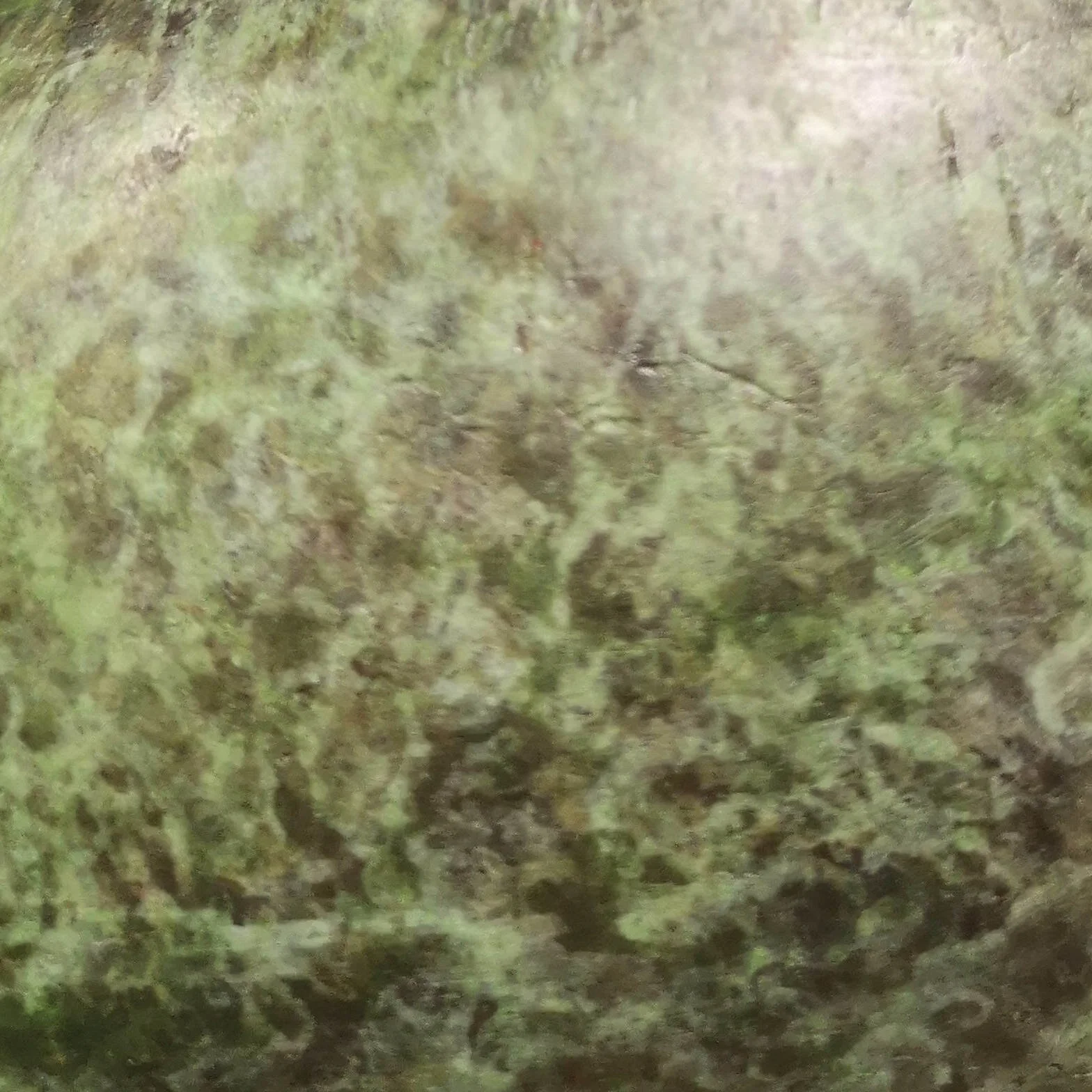 GREEN PATINA (8).jpg