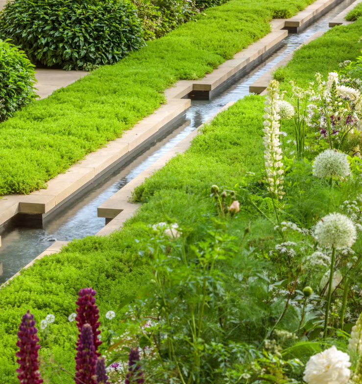 A modern garden with a narrow water channel bordered by lush green plants and flowers, including white, purple, and pink blooms.
