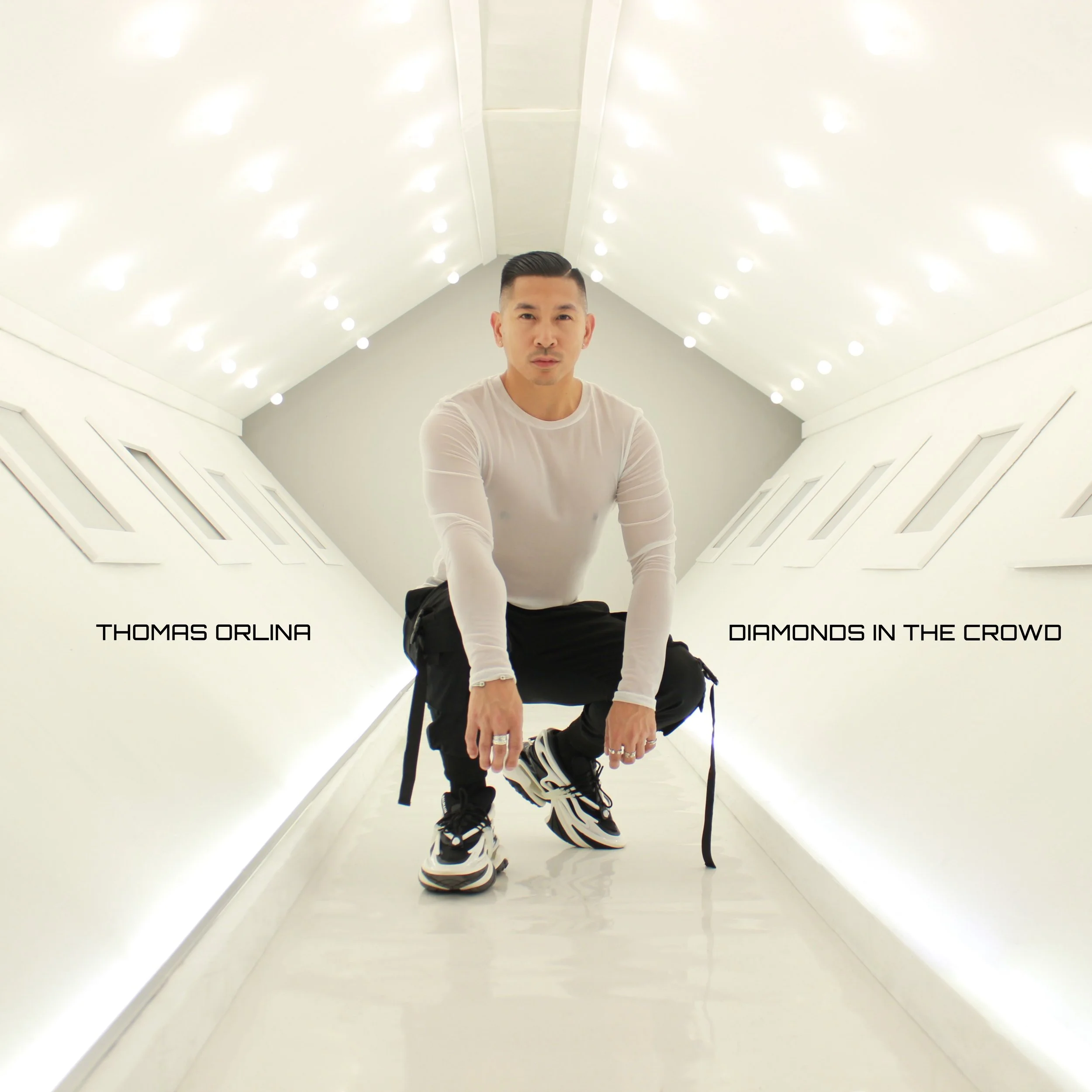 Diamonds In The Crowd 